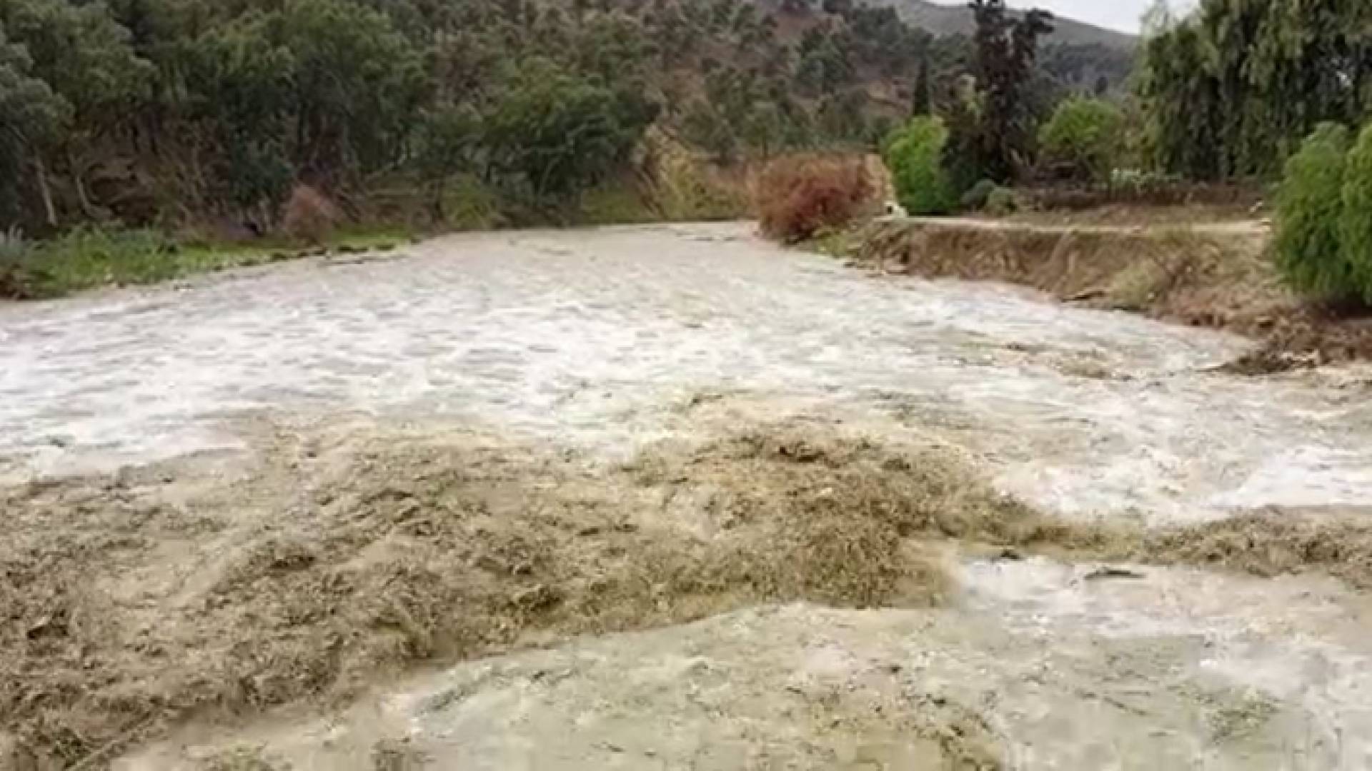 سد الملك طلال