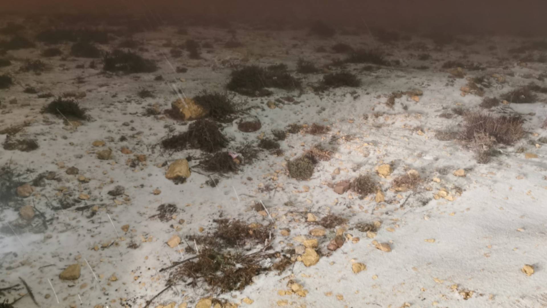 تساقط الثلوج