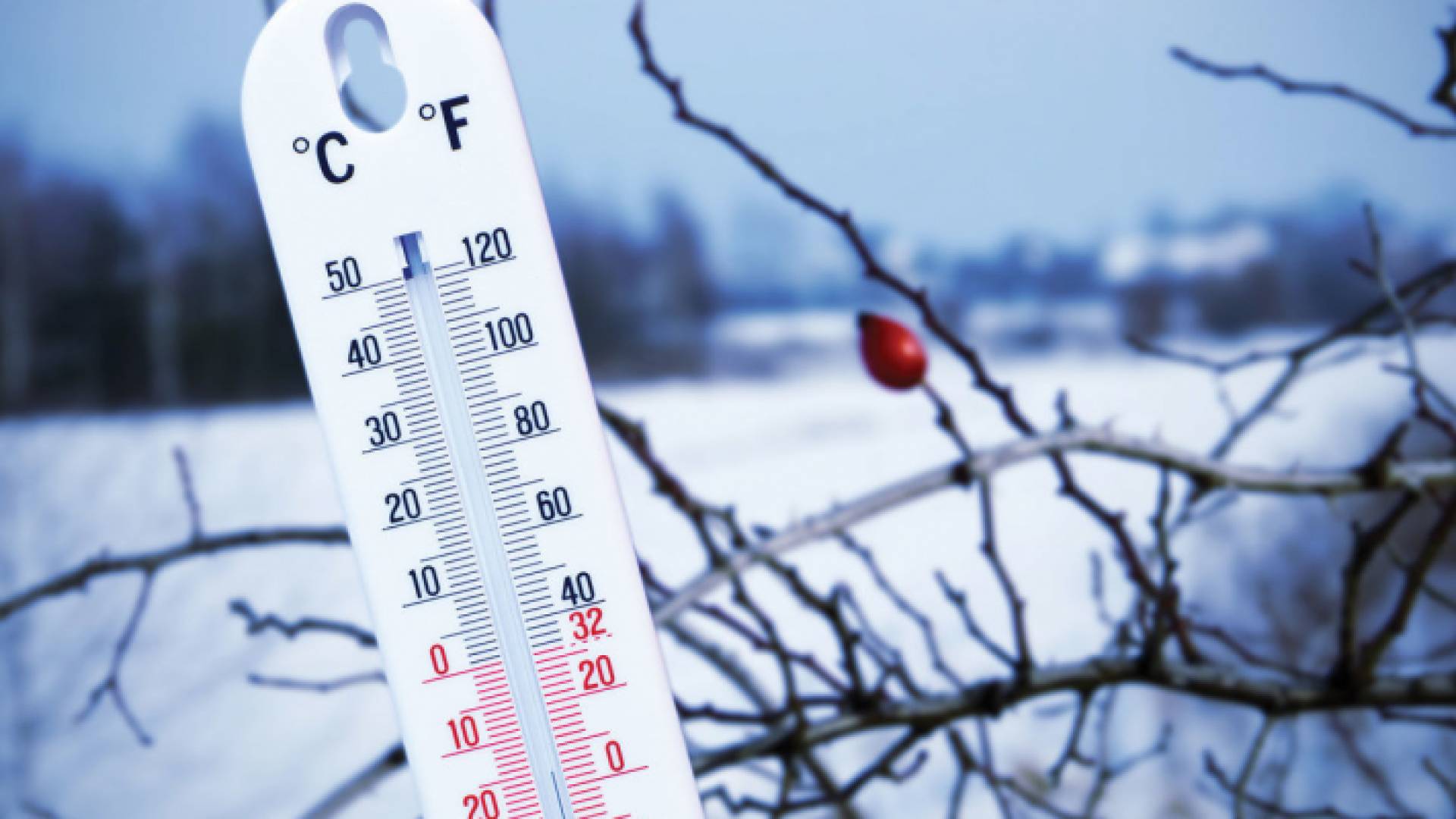 الصورة تعبيرية