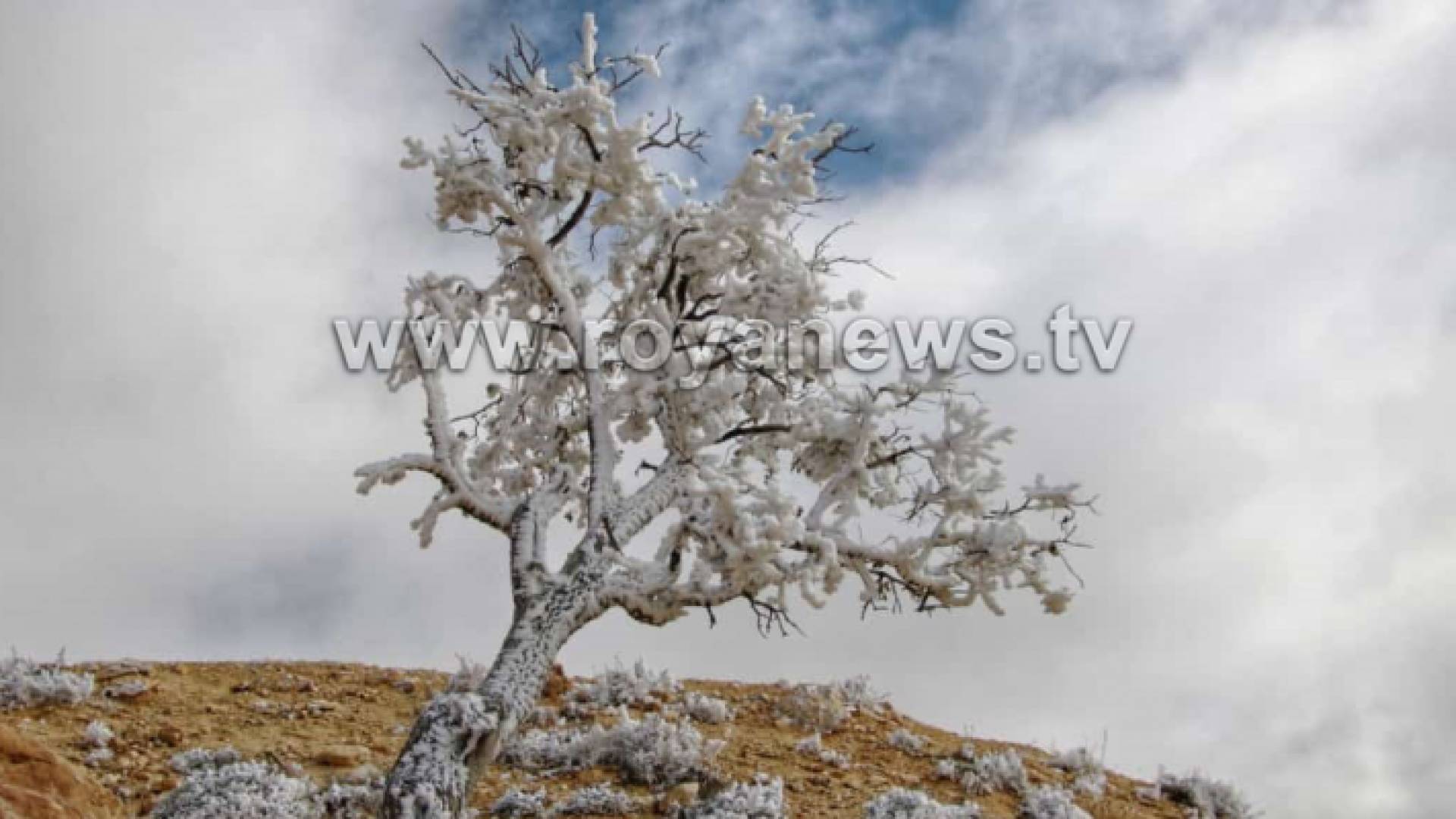 ثلوج الأردن