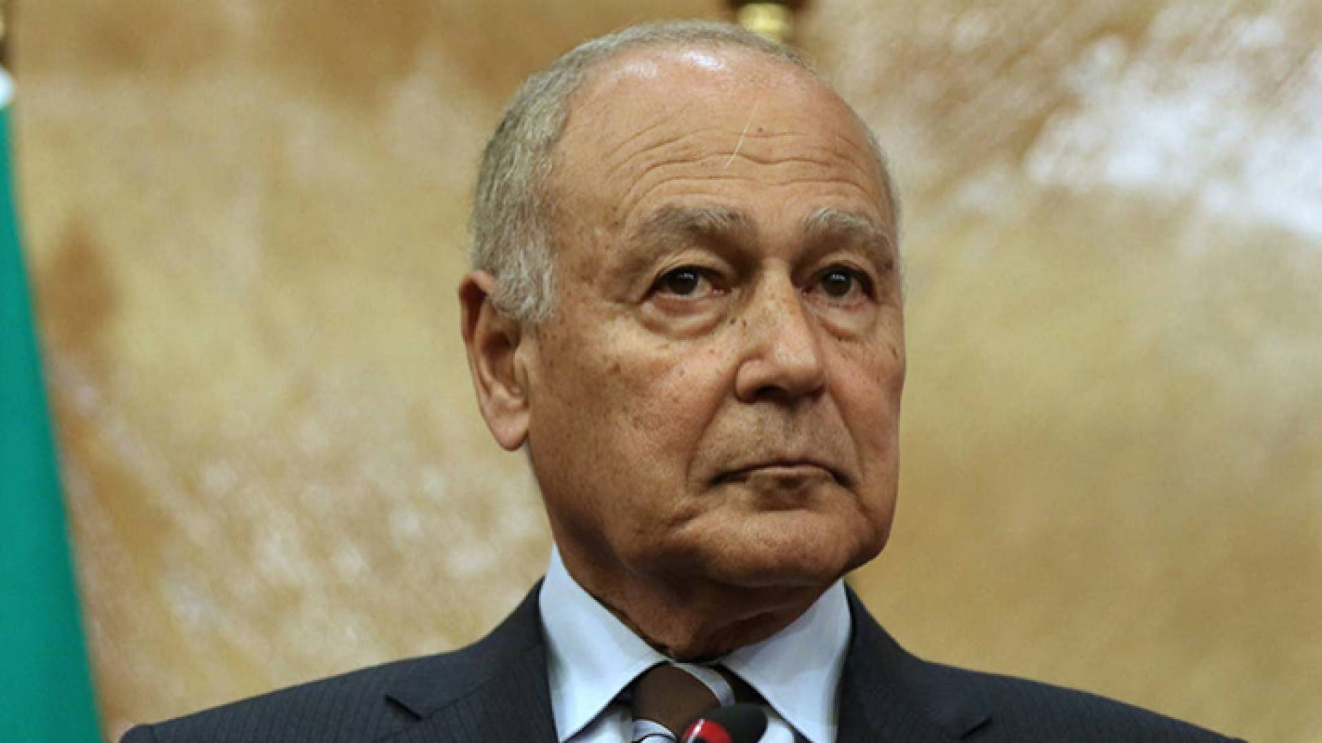 الأمين العام الجامعة الدول العربية أحمد أبو الغيط