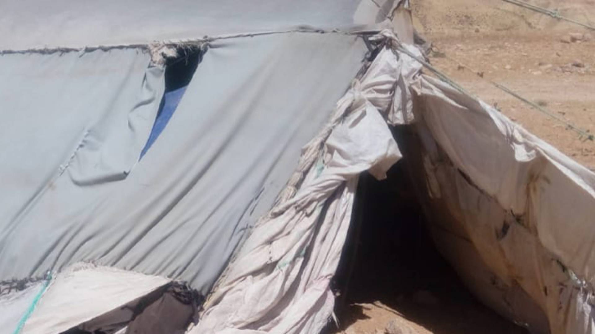 صورة من المنشور الذي تفاعل معه المفلح