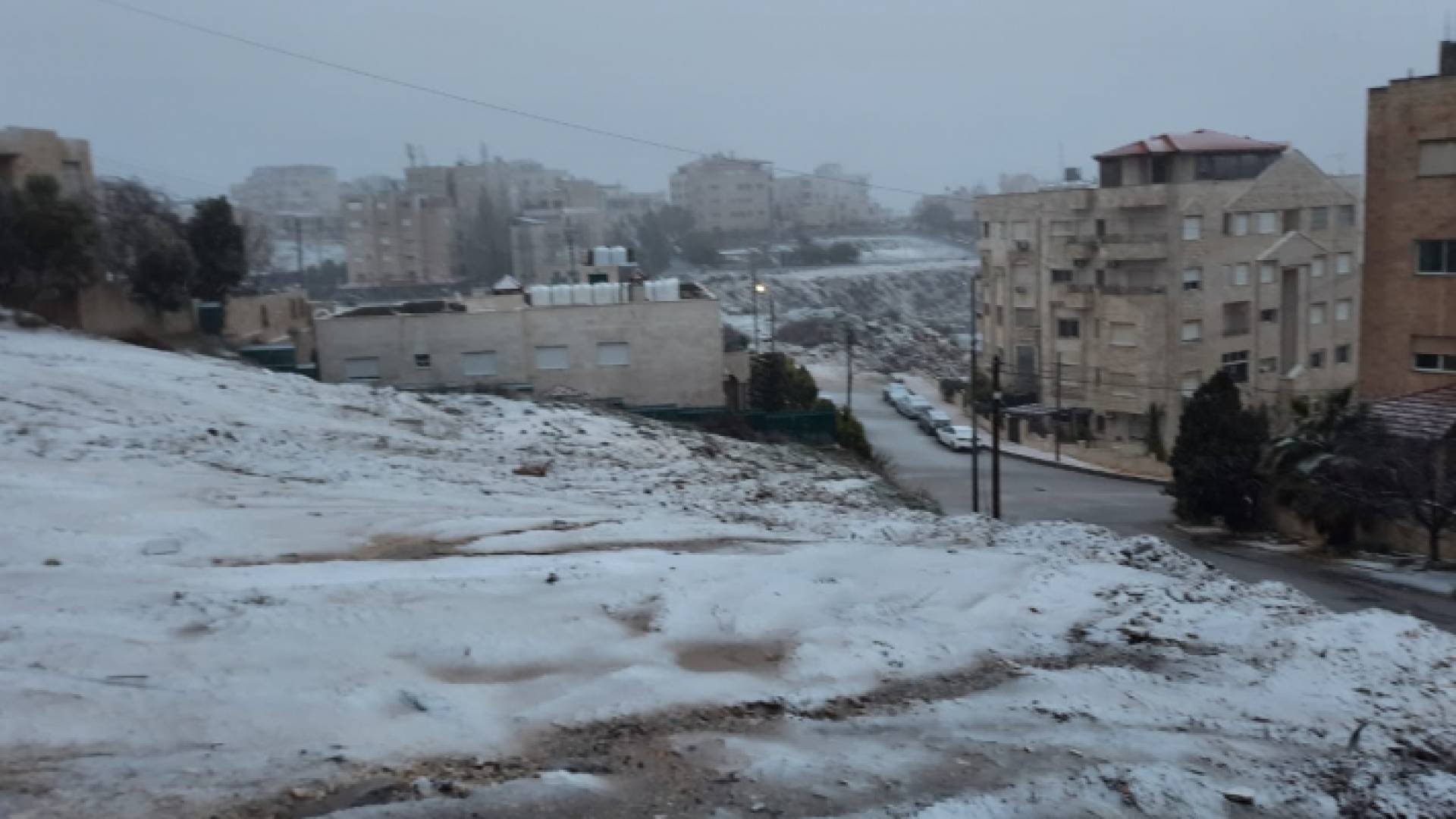 ثلوج في تلاع العلي مساء الاربعاء