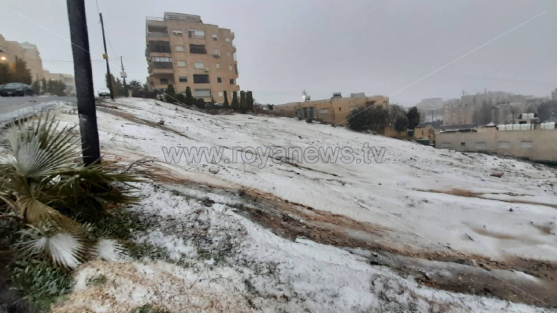 ثلوج في تلاع العلي مساء الاربعاء