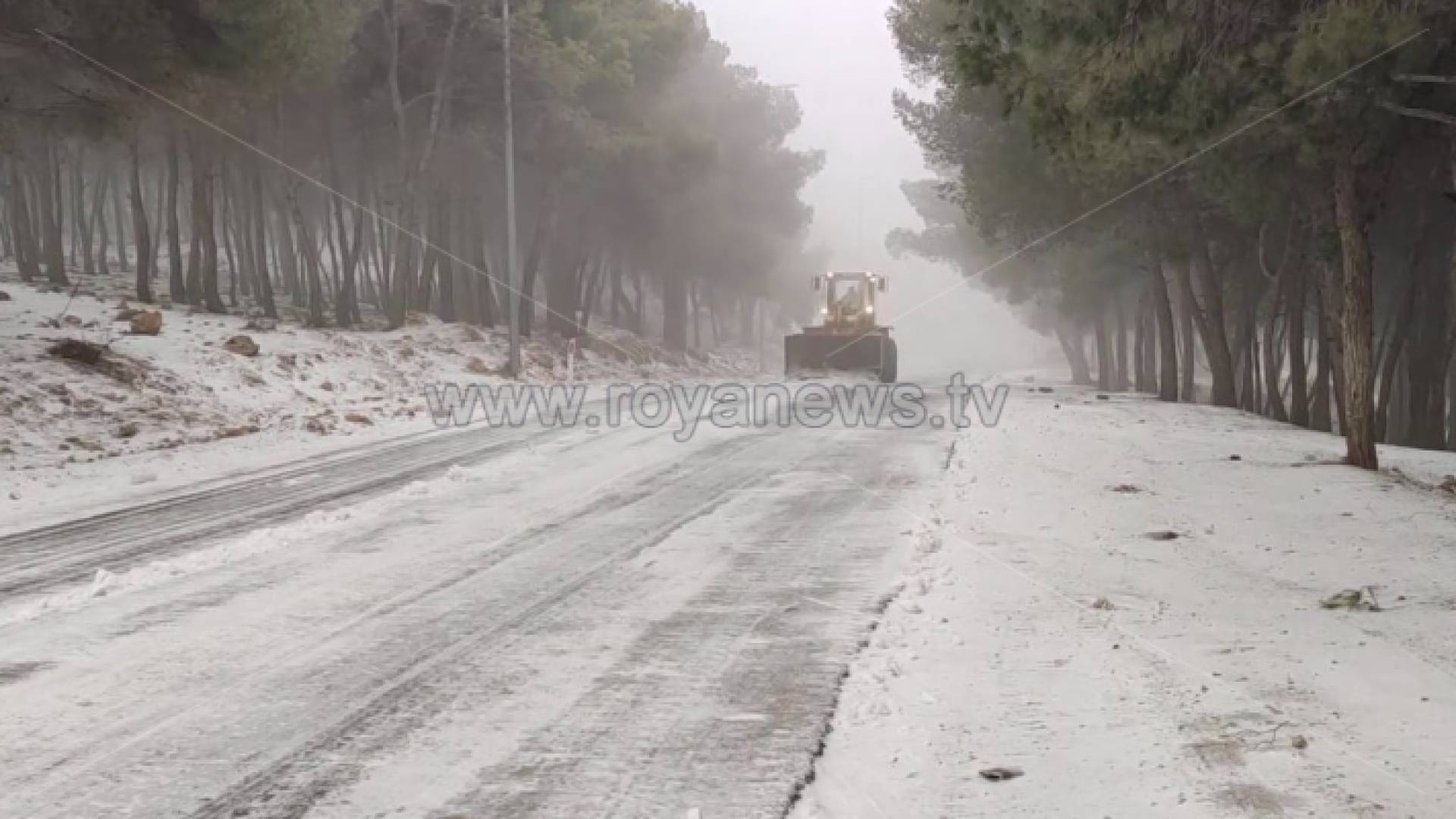 ثلوج الطفيلة