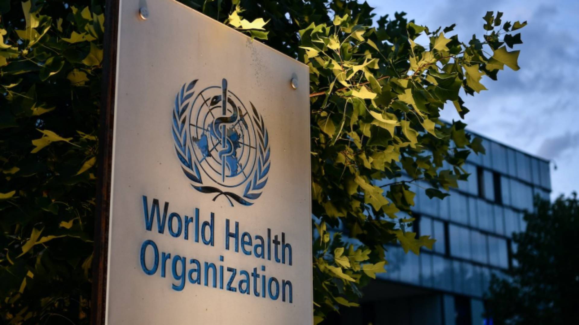 منظمة الصحة العالمية