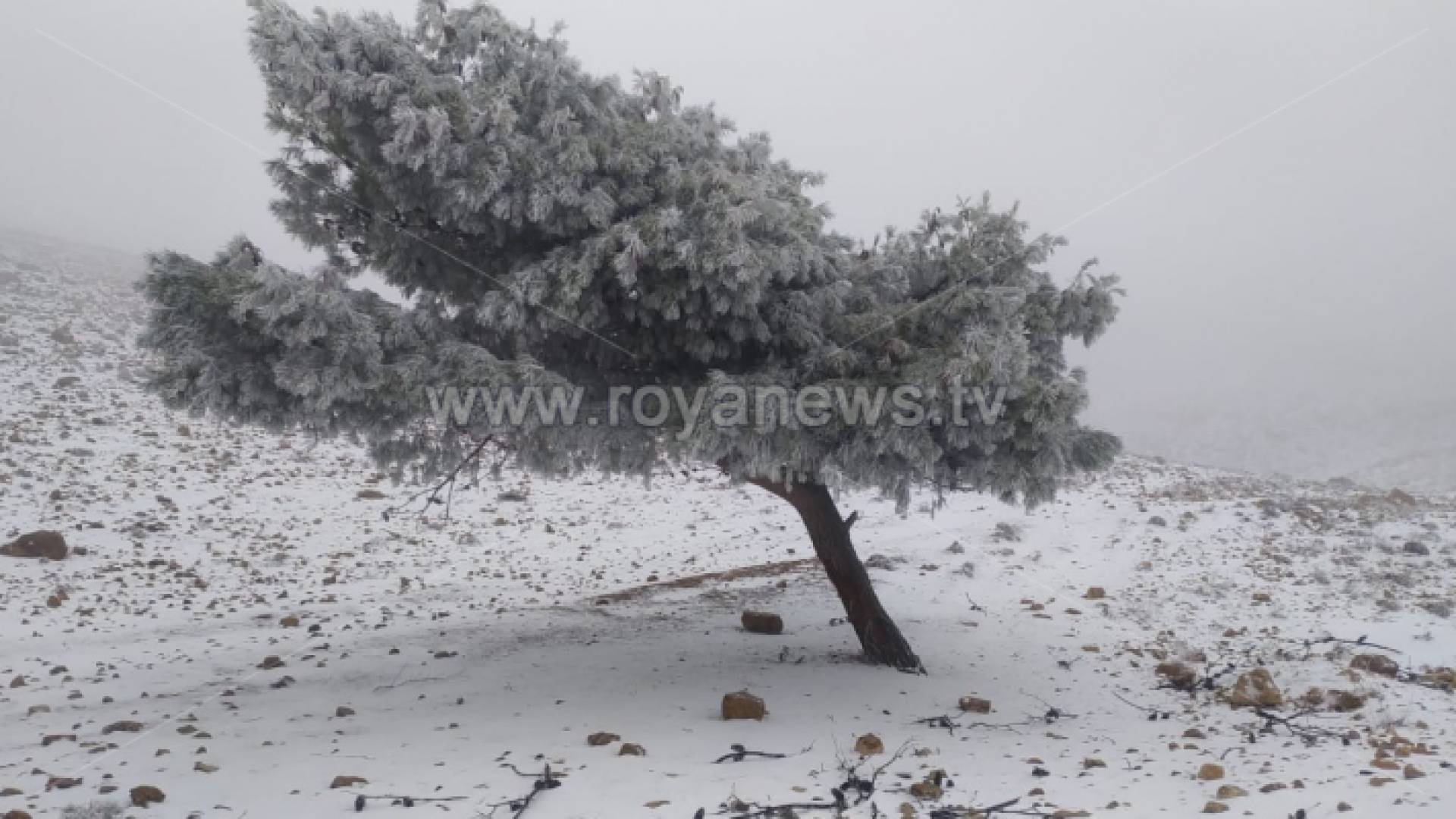 ثلوج الأردن