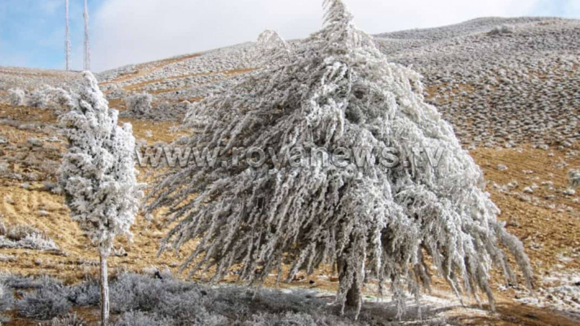 انجماد - ارشيفية