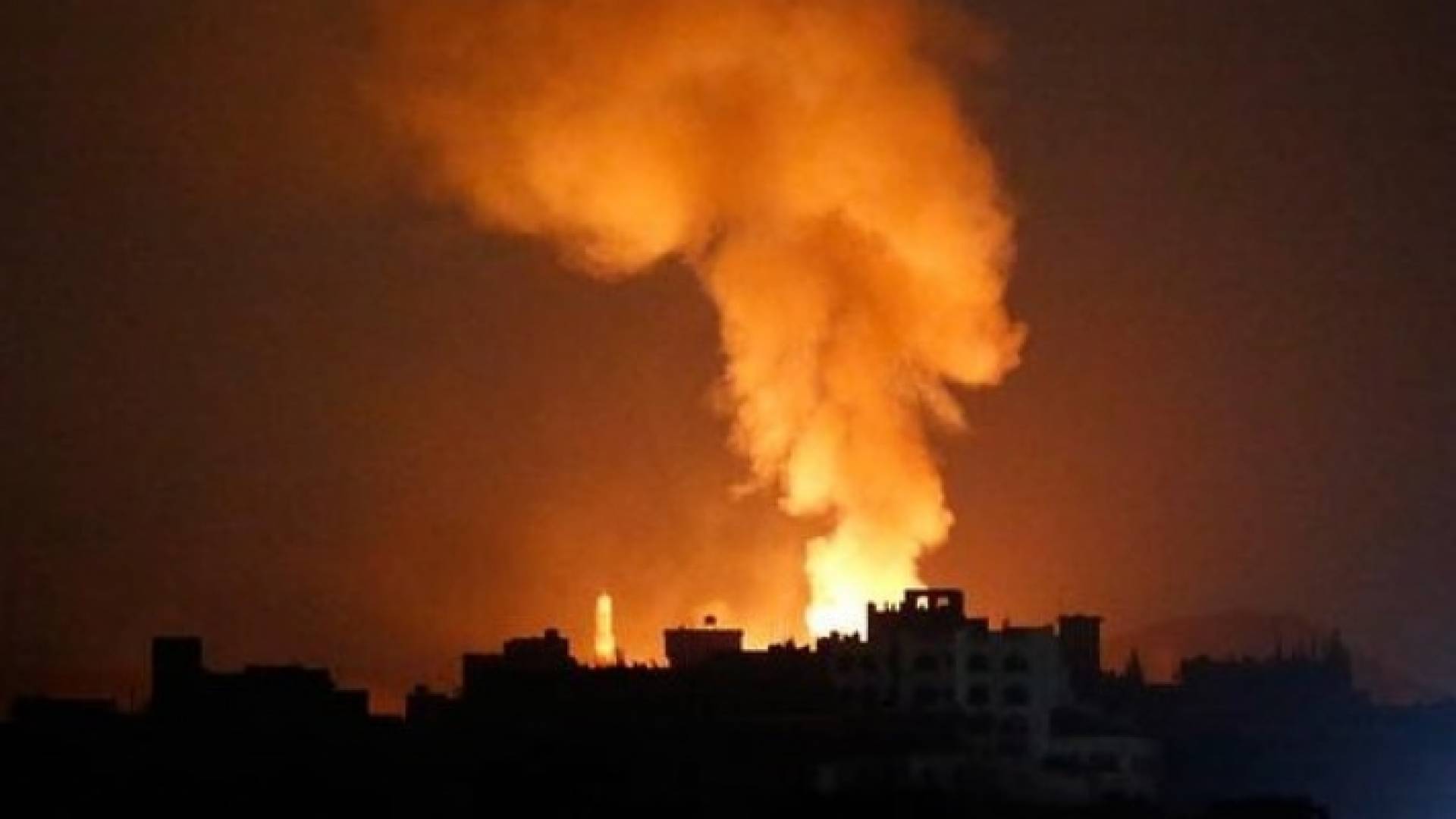 الصورة المتداولة