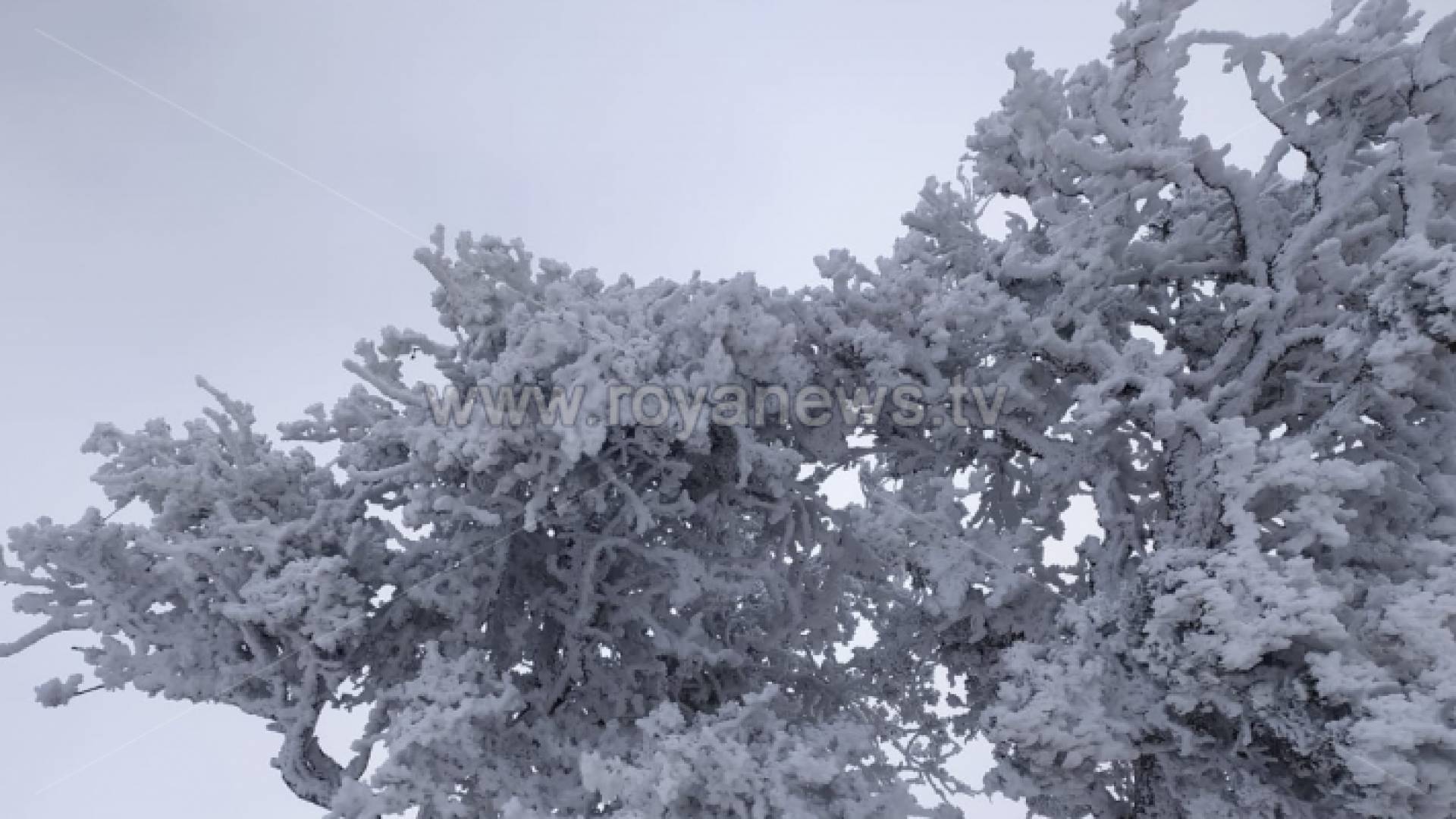 ثلوج وانجماد في الجنوب خلال المنخفض الاخير