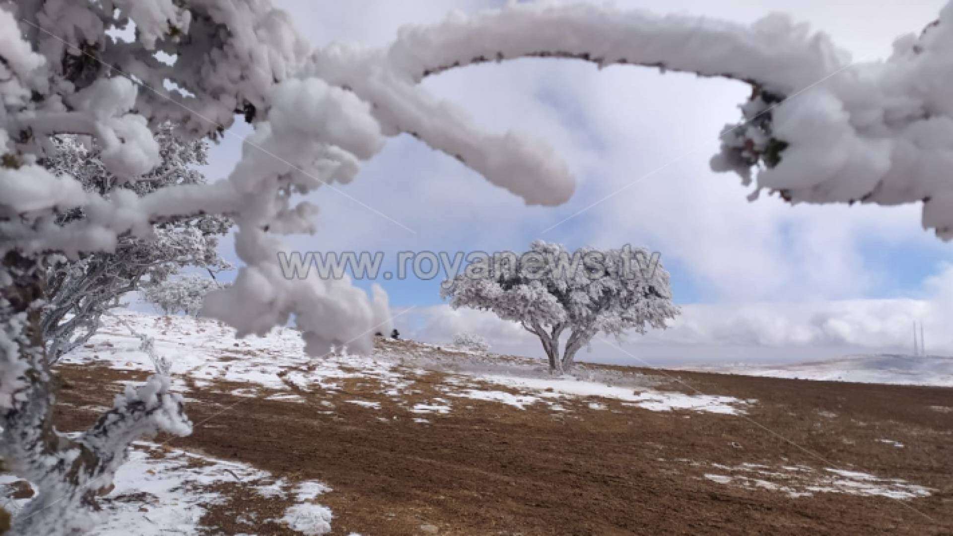 ثلوج وانجماد في الجنوب خلال المنخفض الأخير