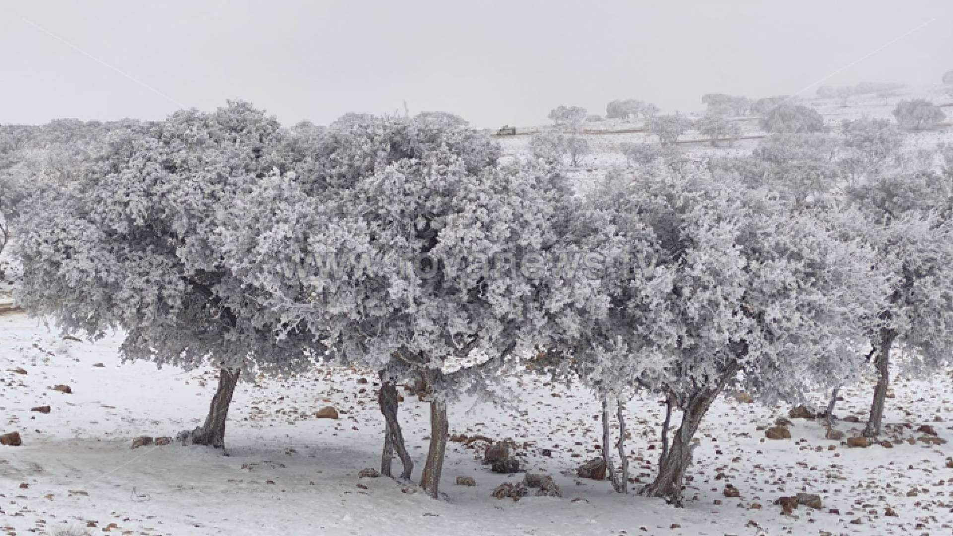 انجماد وثلوج في الجنوب في المنخفض الأخير