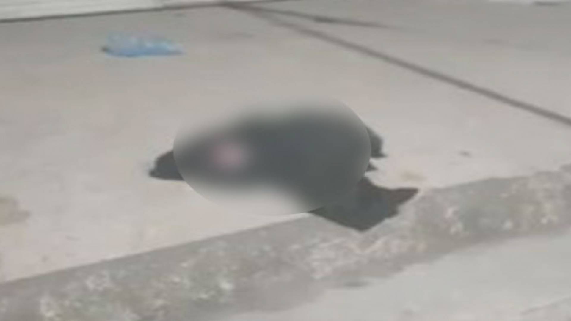 العثور على رضيع ملقى على الأرض في الرمثا