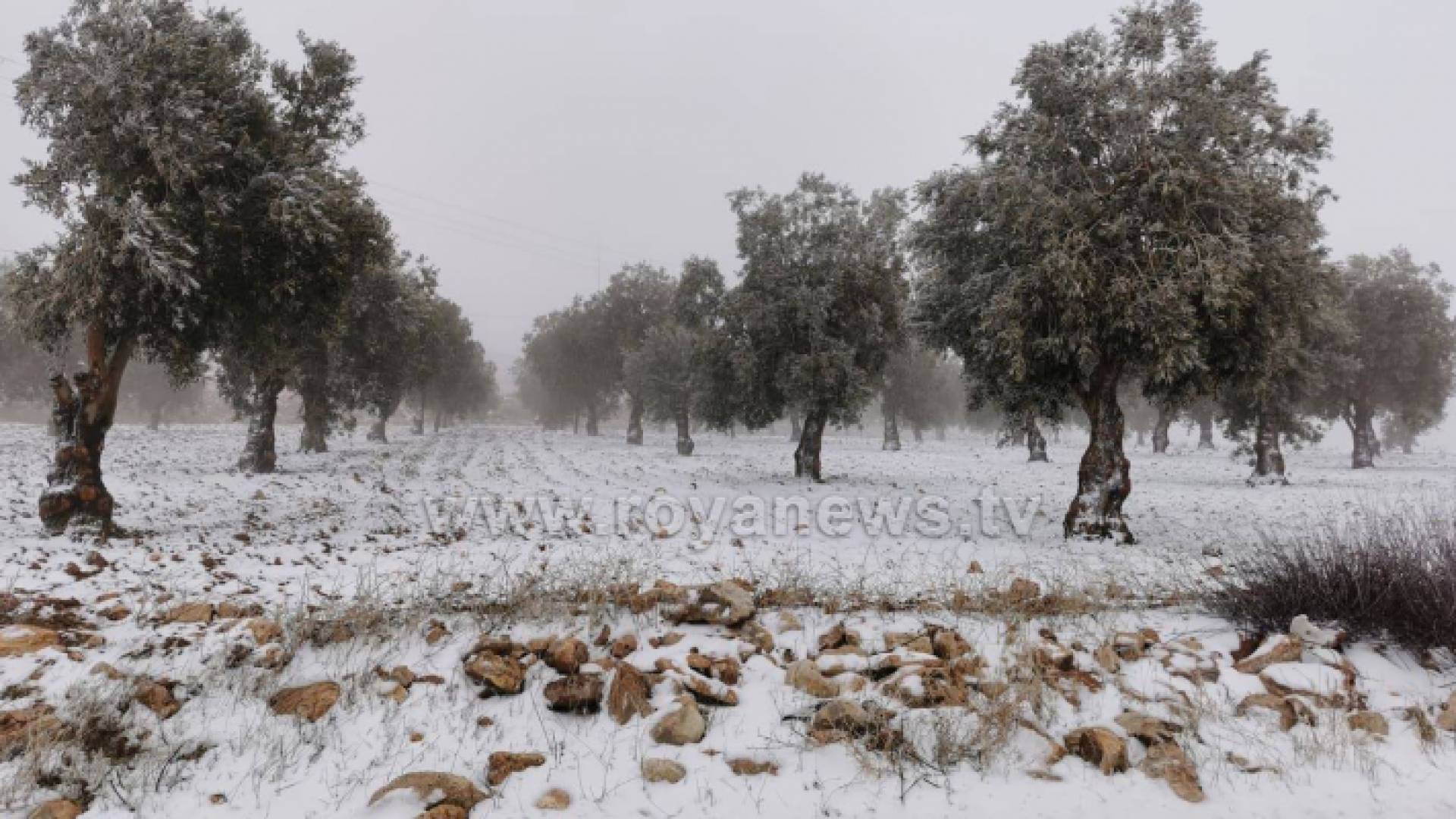 ثلوج أرشيفية