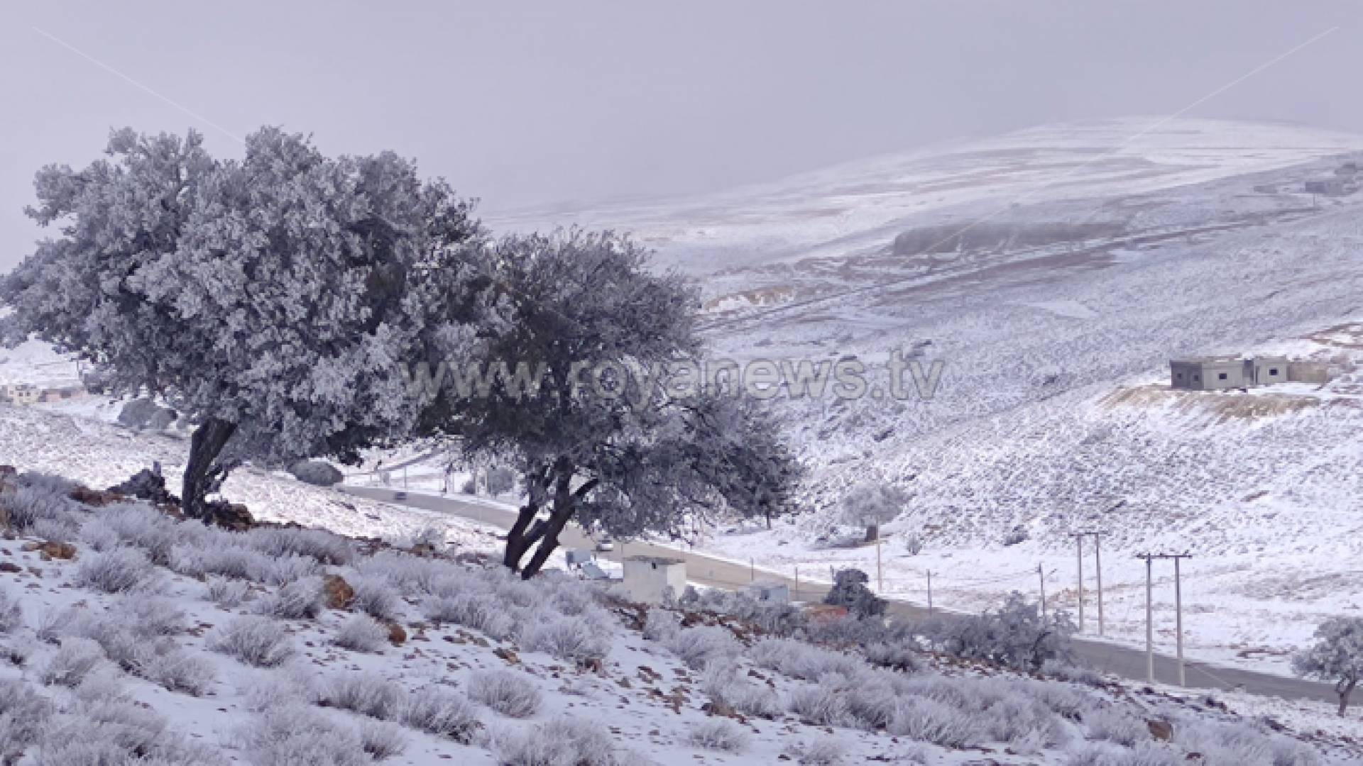 ثلوج - ارشيفية