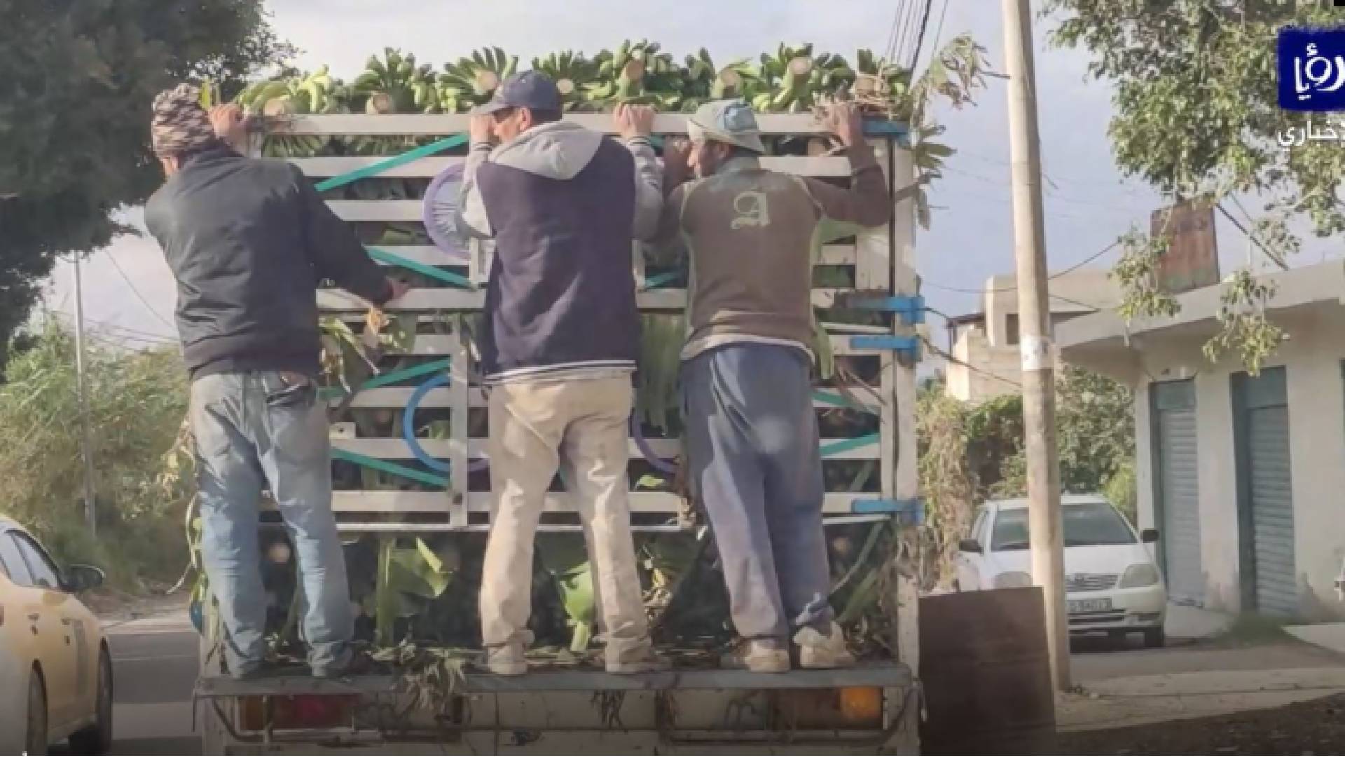ركوب 3 أشخاص على حافة شاحنة دون أدنى درجات السلامة العامة في الأغوار