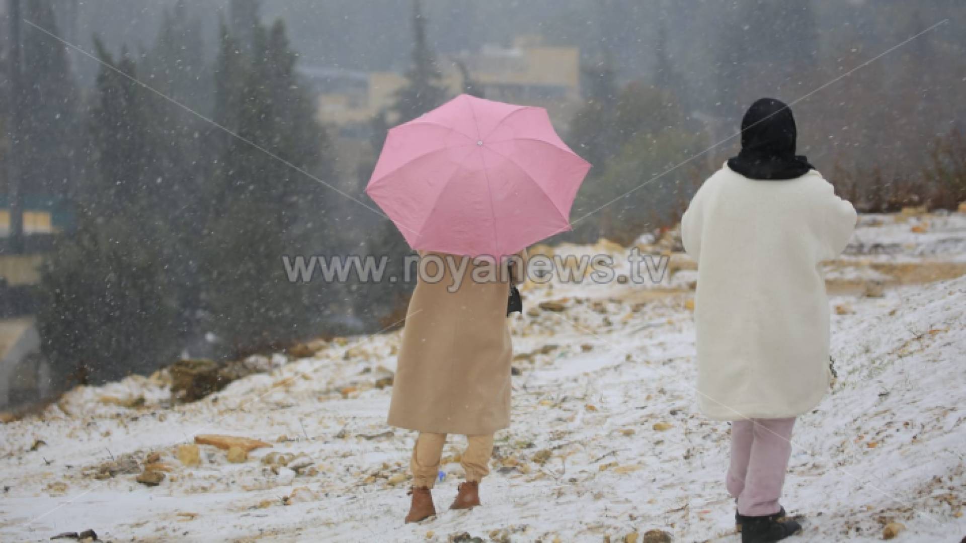 ثلوج - أرشيفية