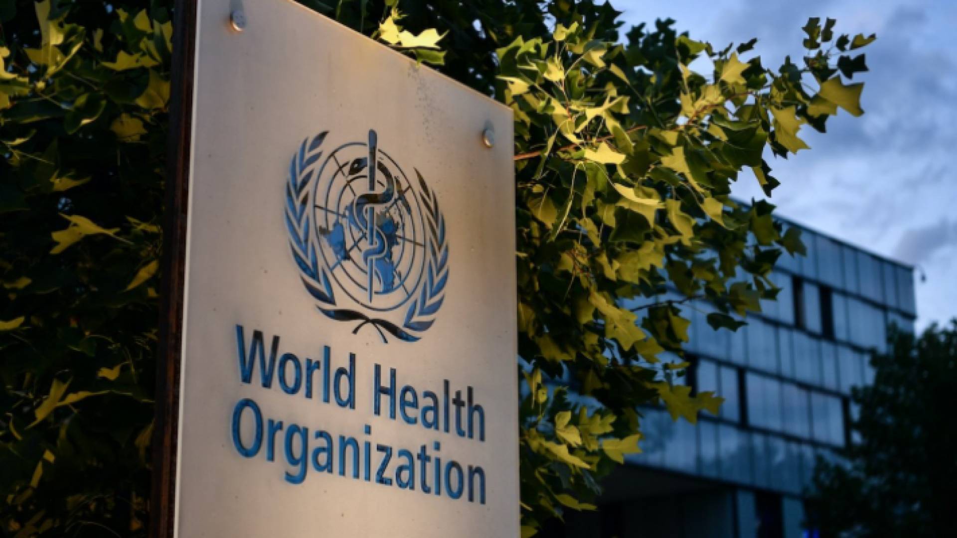 منظمة الصحة العالمية