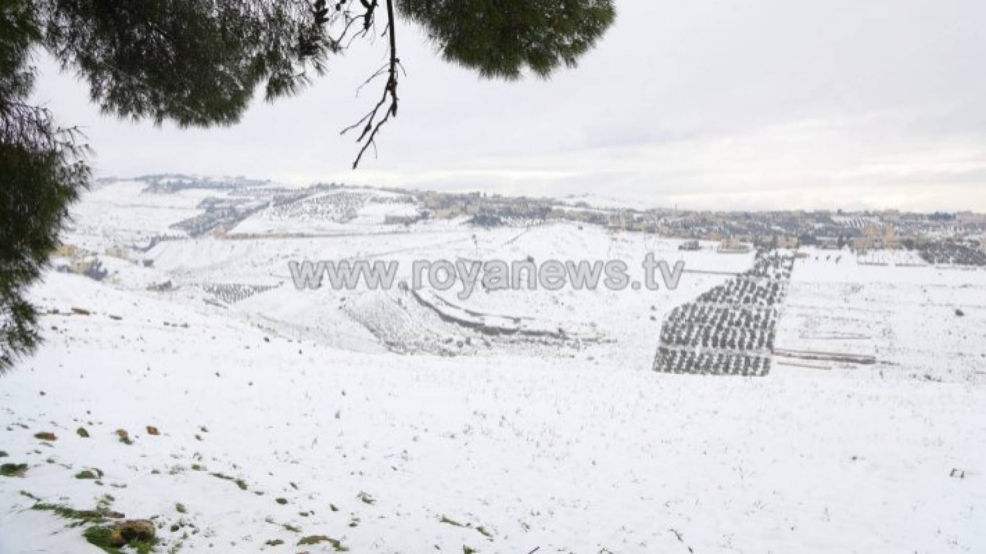 أجواء شديدة البرودة ومنخفض قطبي الأربعاء