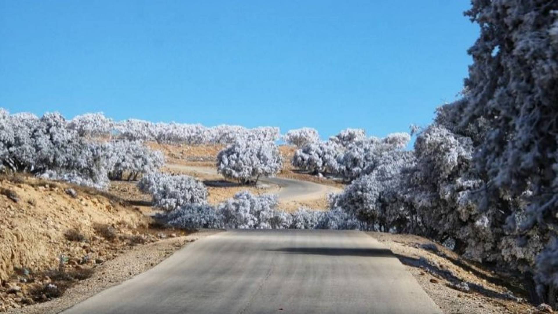 انتهاء أربعينية الشتاء وبداية الخمسينية نهاية الشهر