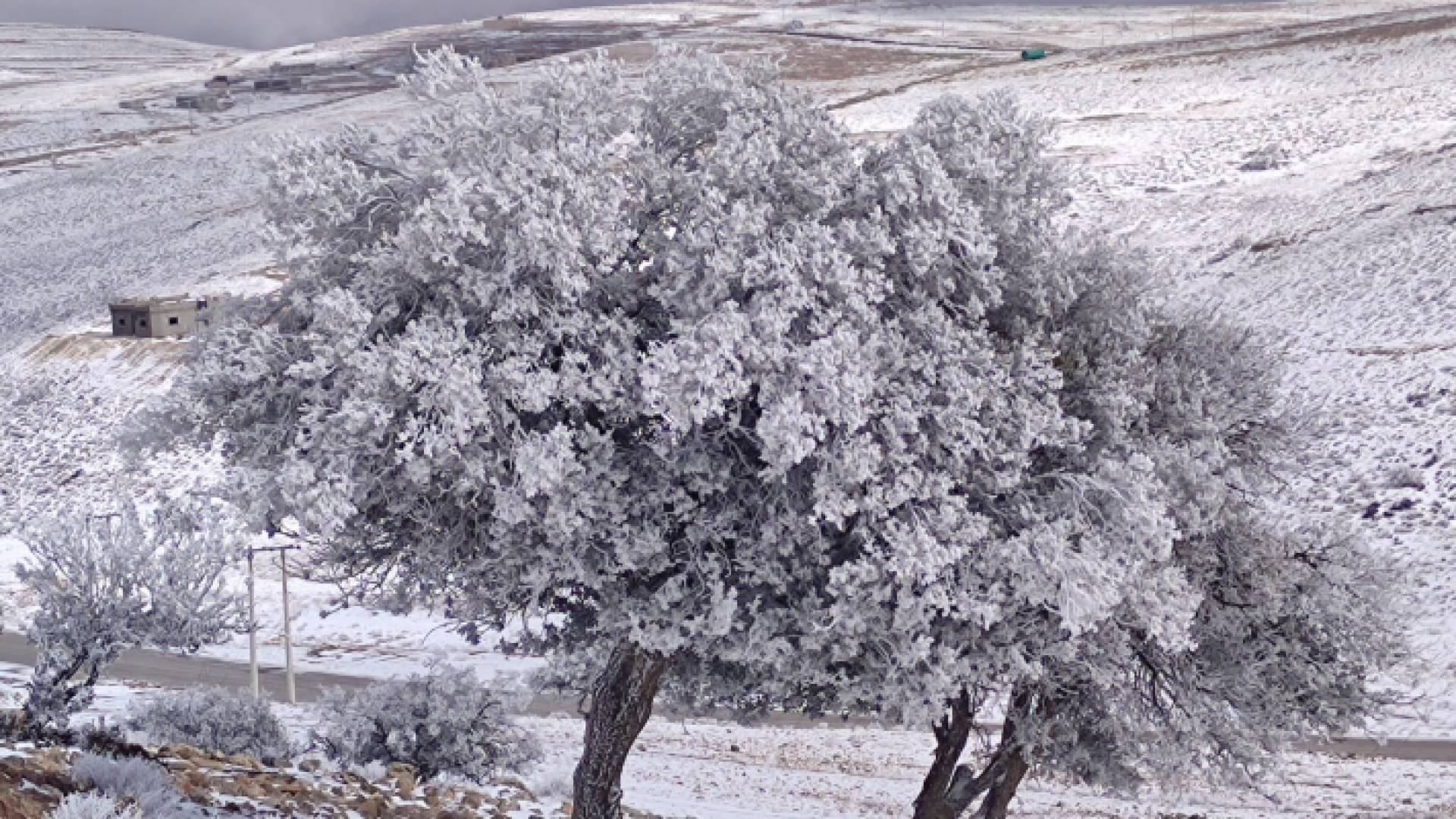 ثلوج في محافظة معان