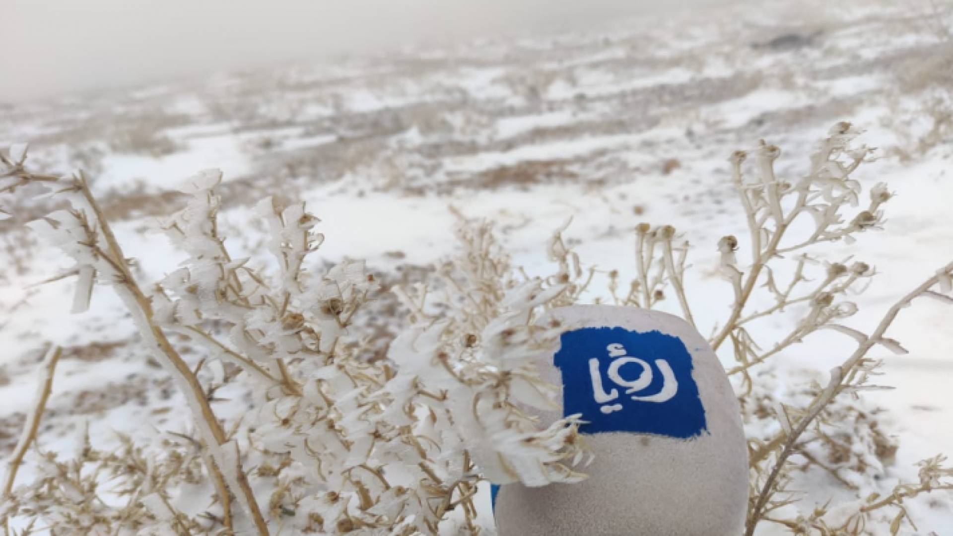 من الثلوج في محافظة معان