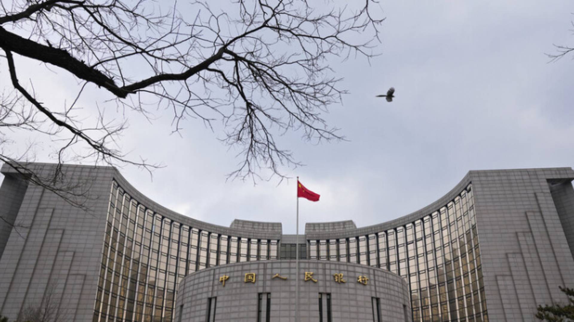 وزارة التجارة الصينية