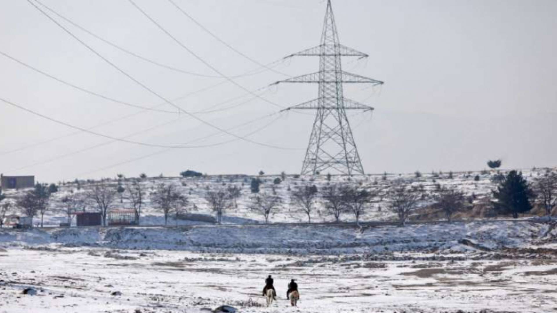 ثلوج - أرشيفية