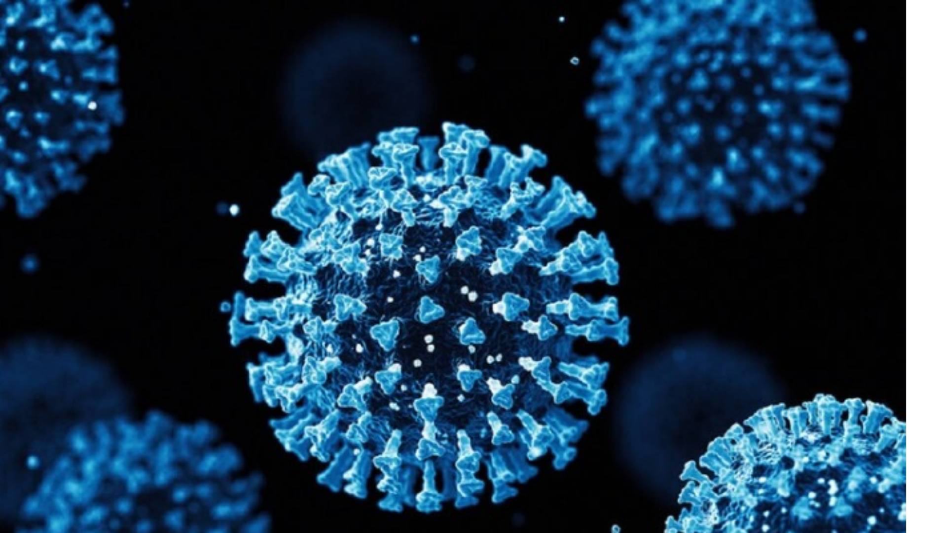 مقطع توضيحي لفيروس كورونا