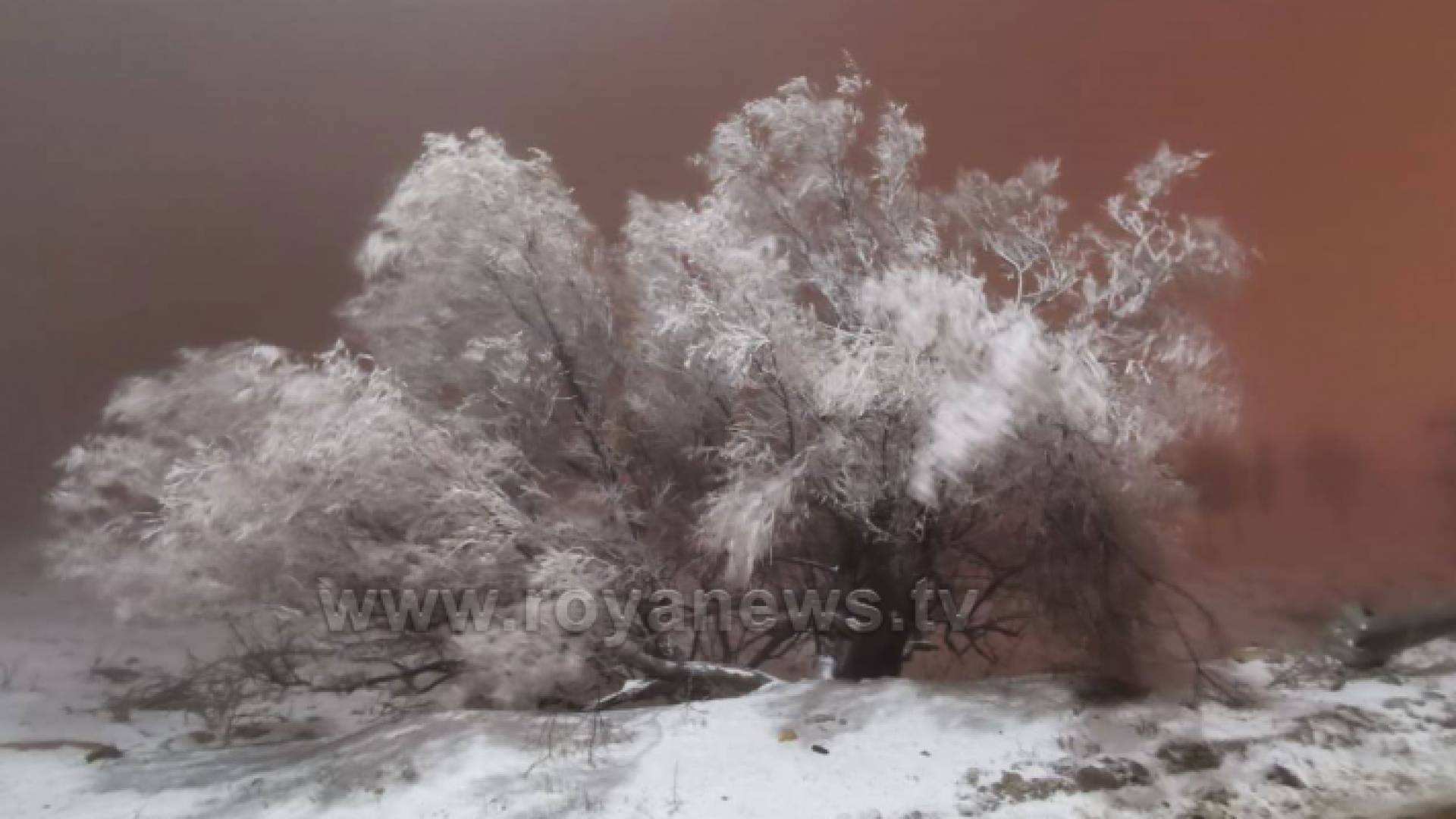 الانجماد بمنطقة الرشادية في الطفيلة - ارشيفية