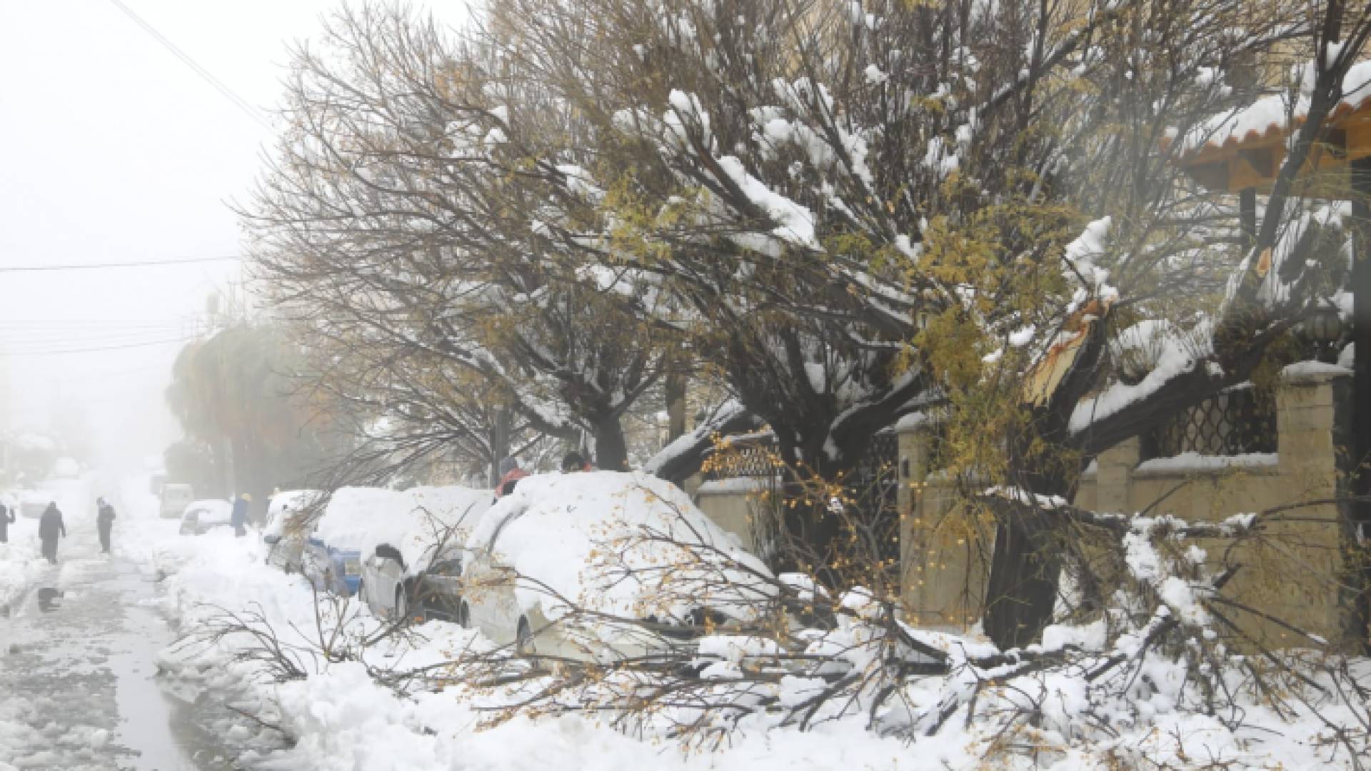 صورة من الثلوج في عمان