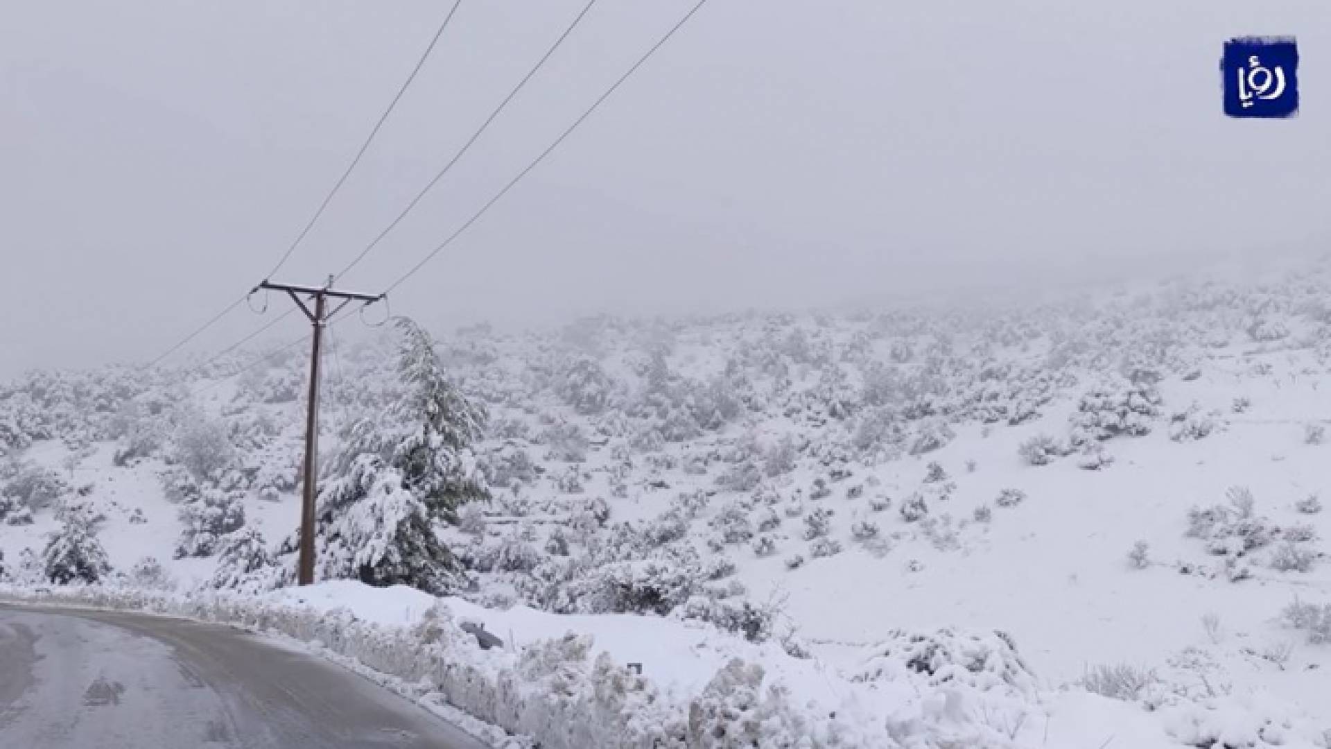 بعد انتظار وترقب.. الأردنيون يستقبلون الزائر الأبيض