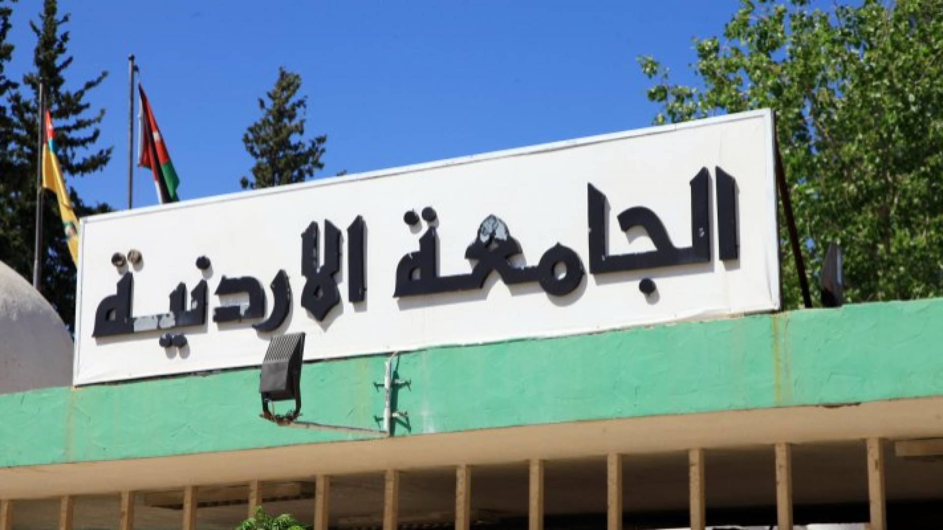 الجامعة الأردينة
