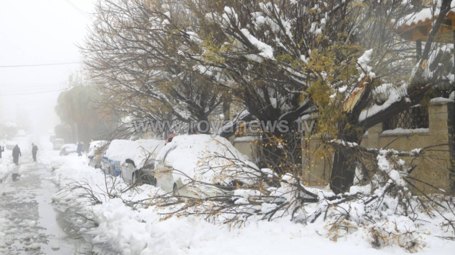 ثلوج الأردن