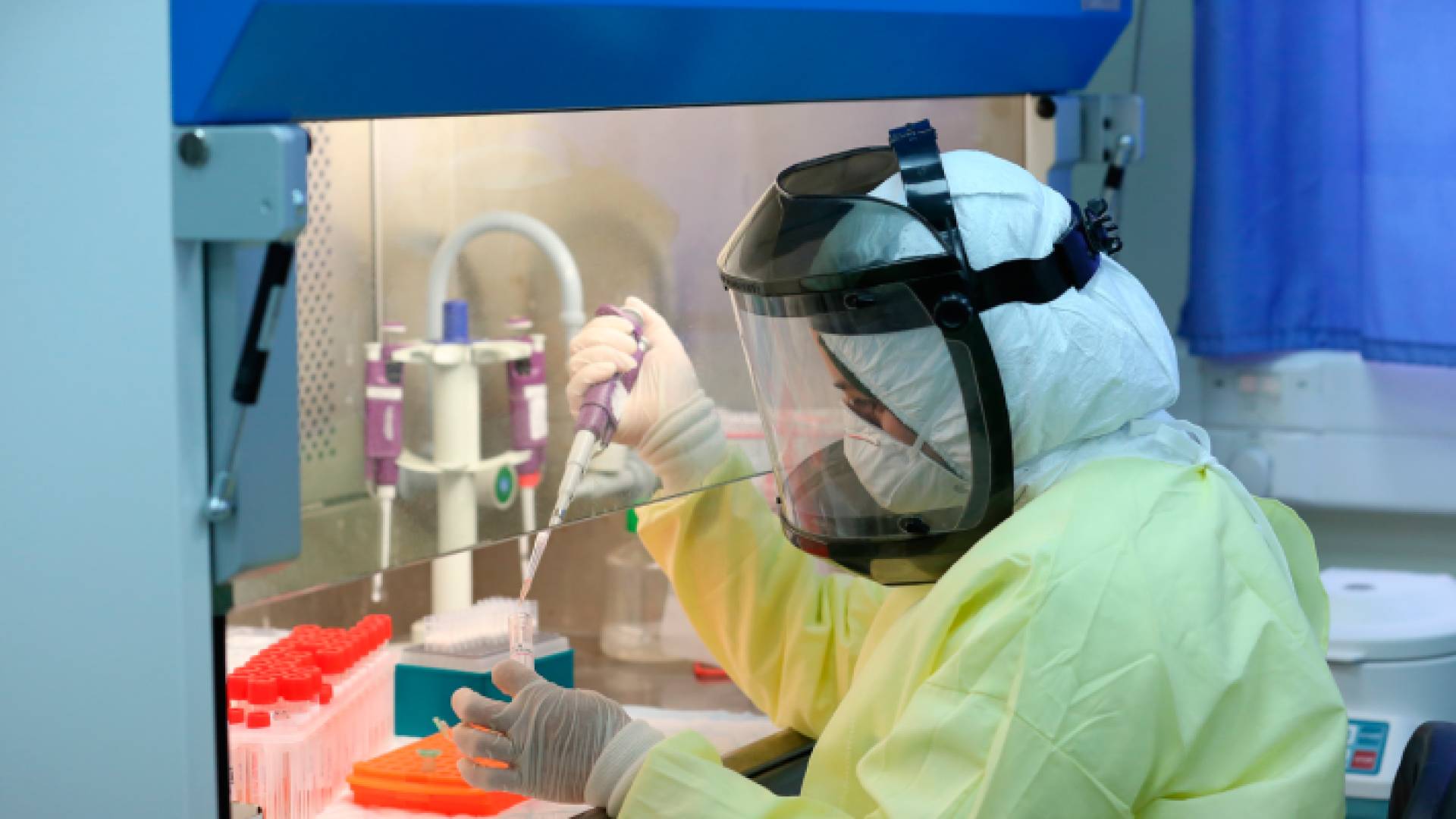 فحص كورونا في أحد المراكز الصحية في فلسطين