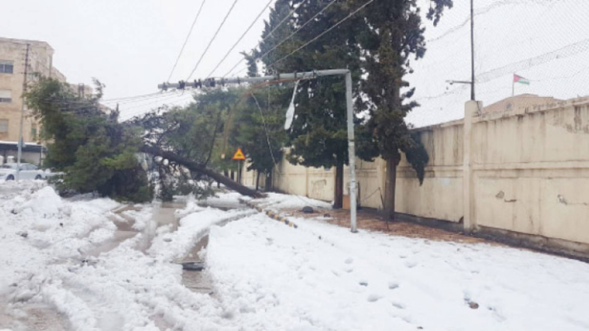 شقوط اشجار على اسلاك الكهرباء خلال المنخفض