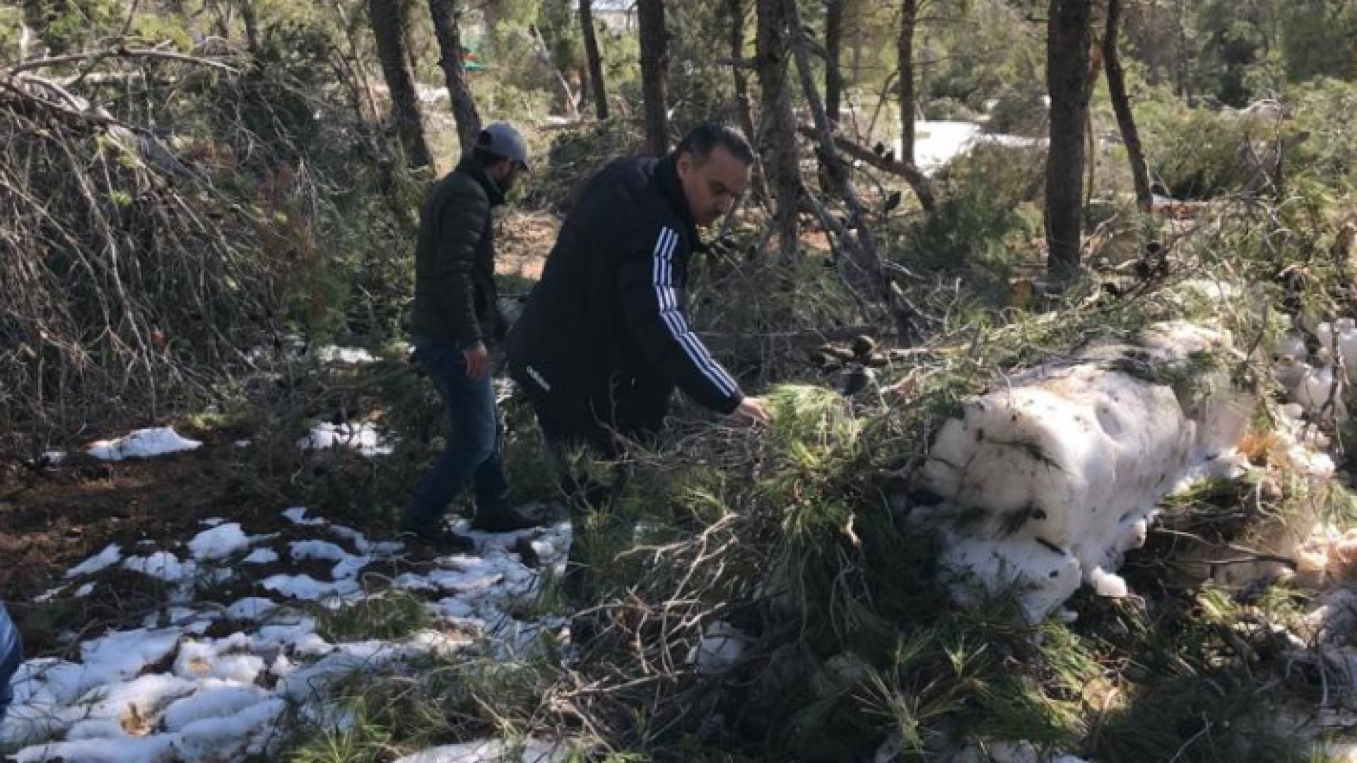 حملة تطوعية لإزالة الأشجار المتضررة في مدينة الحسين للشباب