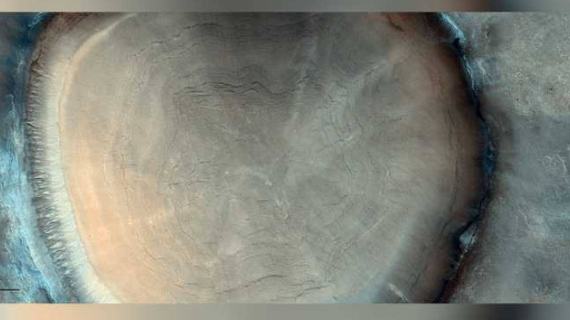 رصد "جذع شجرة" على سطح المريخ