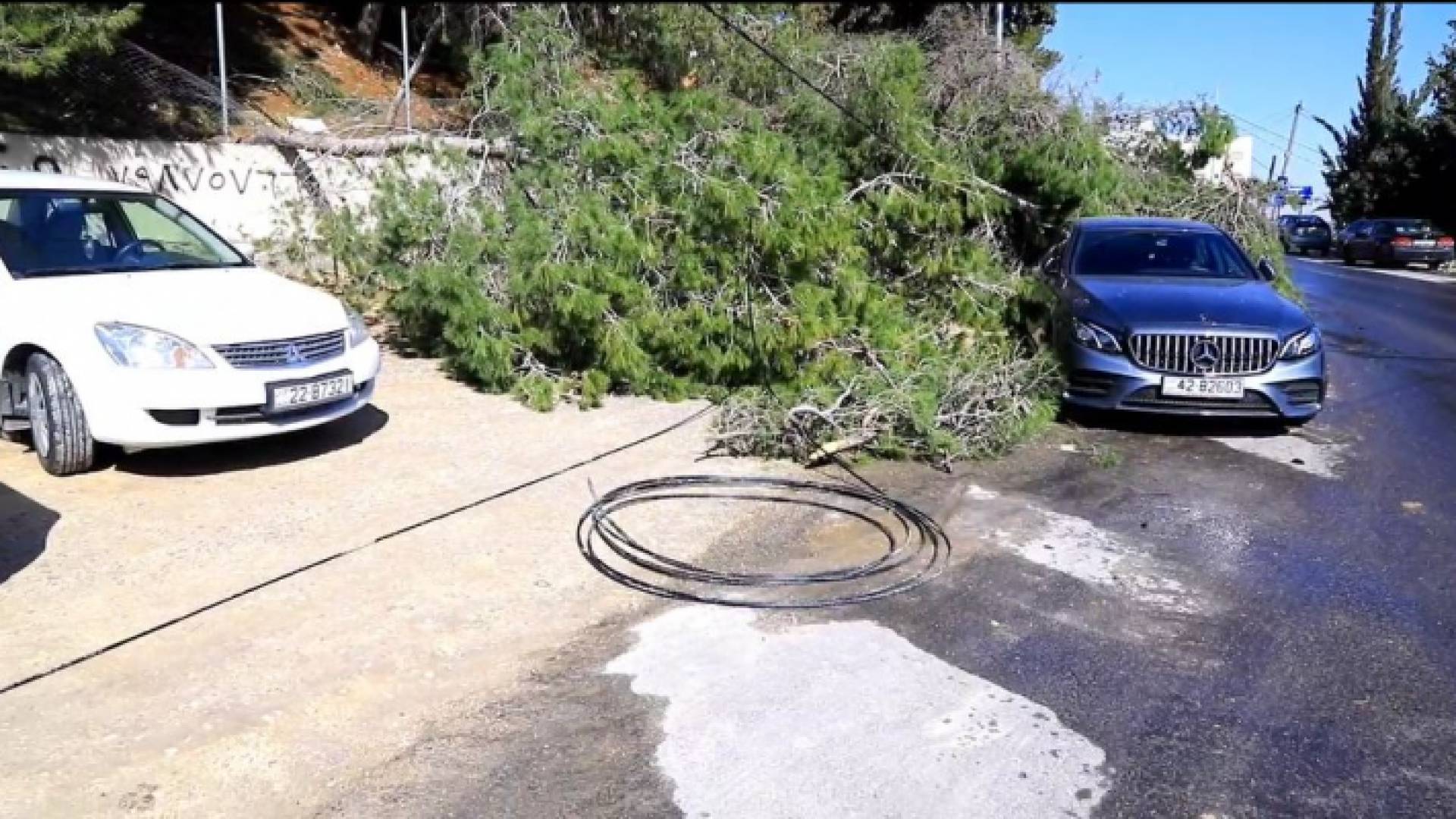 أشجار متكسرة وكوابل كهرباء لا تزال مُلقاة على الأرض