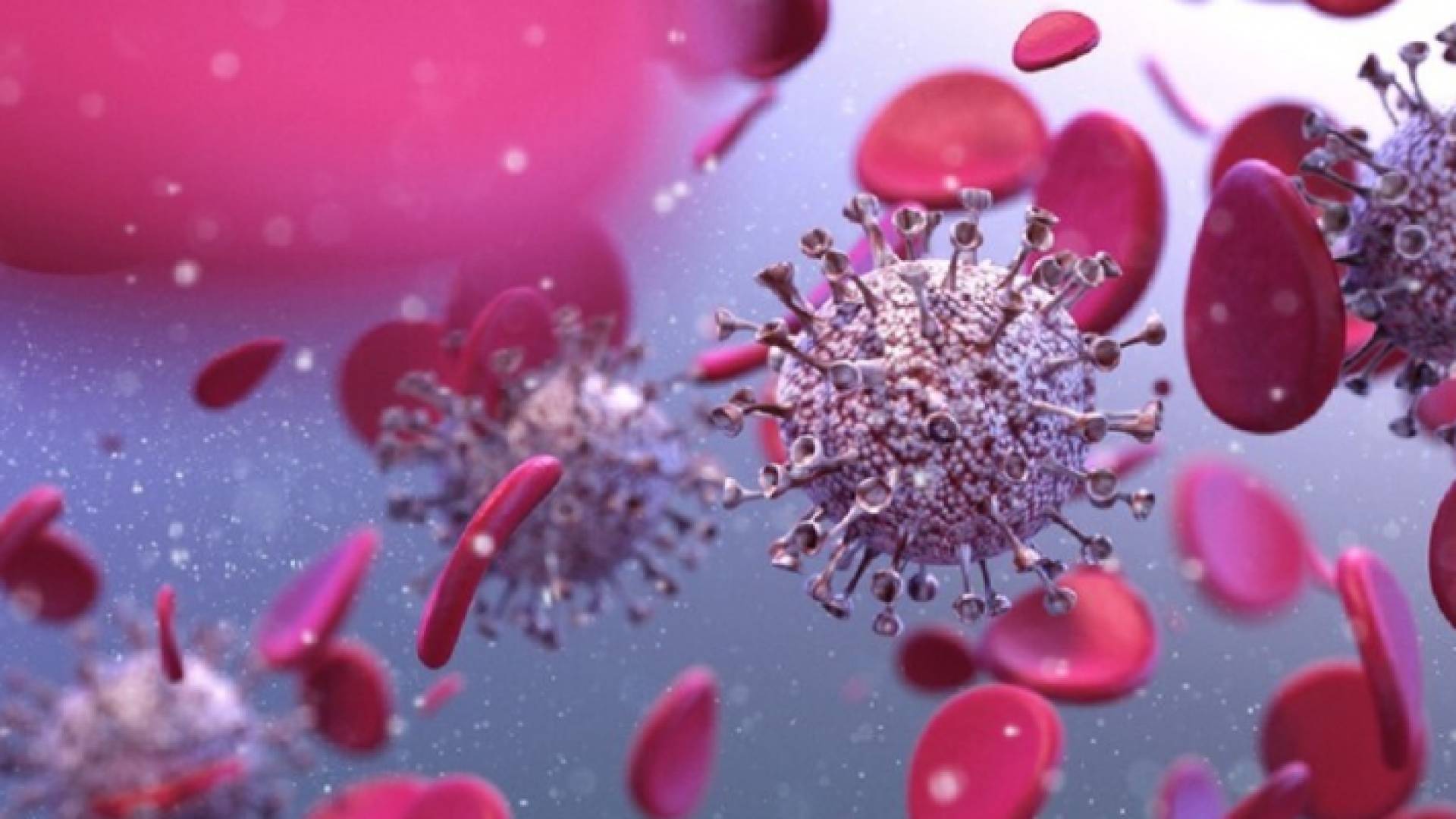 مقطع توضيحي لفيروس كورونا