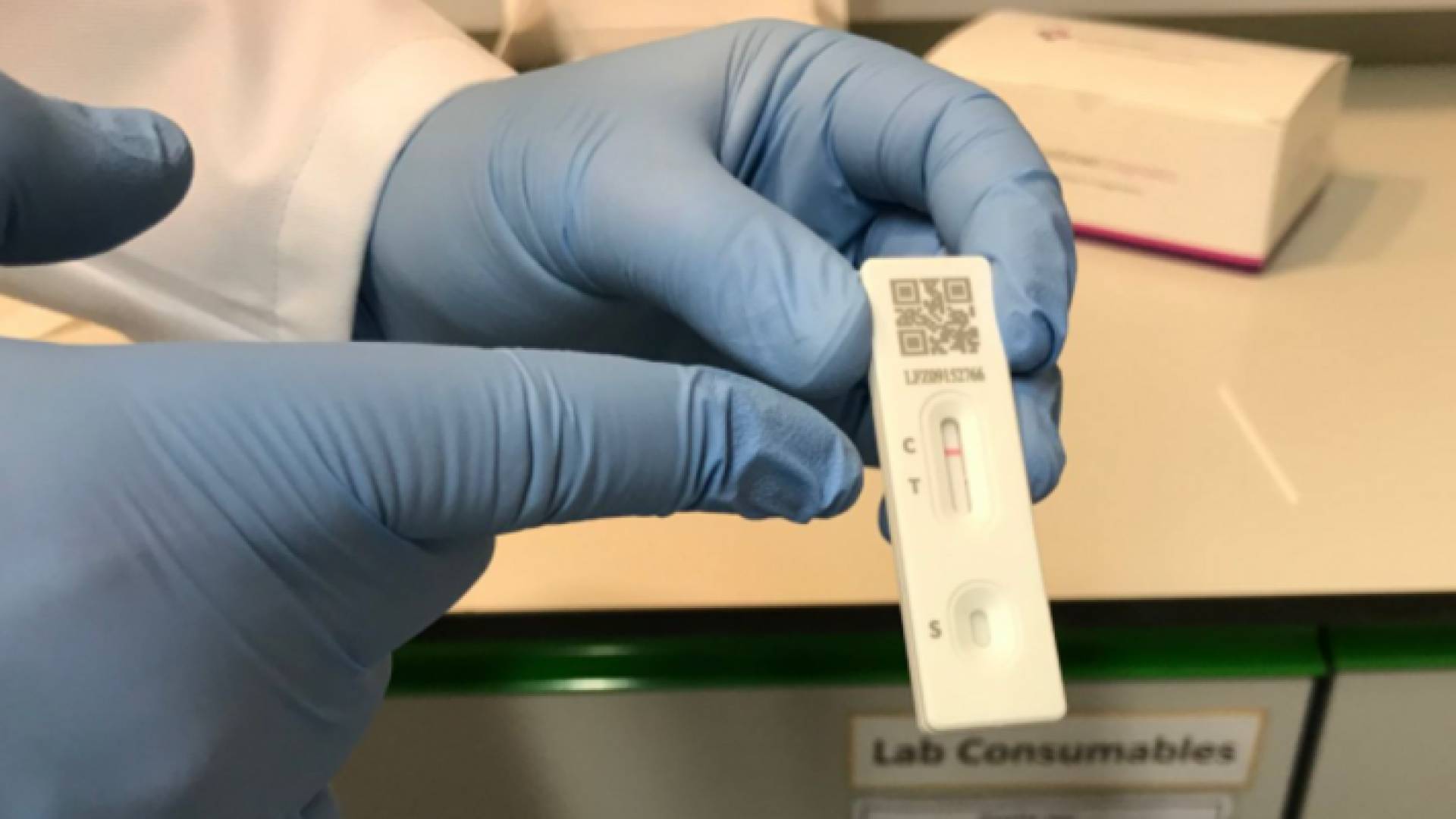 فحص كورونا السريع