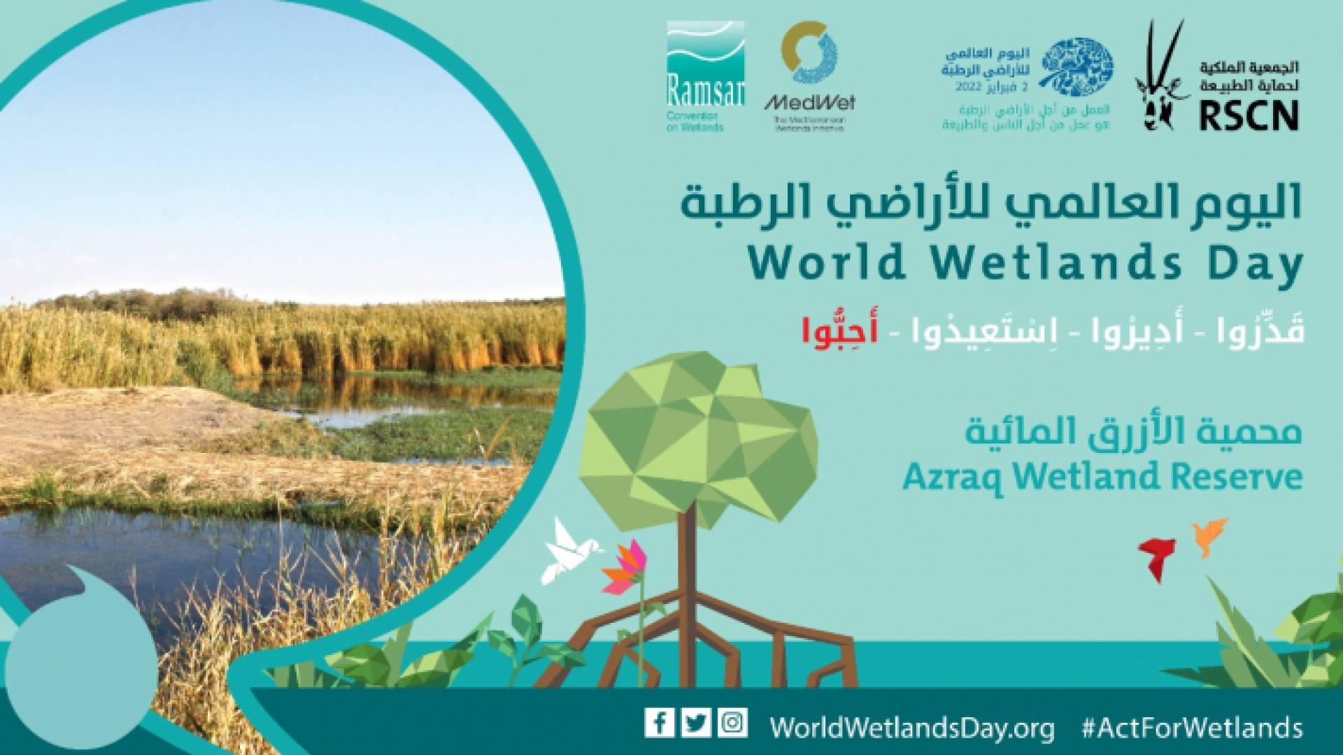 الجمعية الملكية لحماية الطبيعة تحتفل بيوم "الأراضي الرطبة"