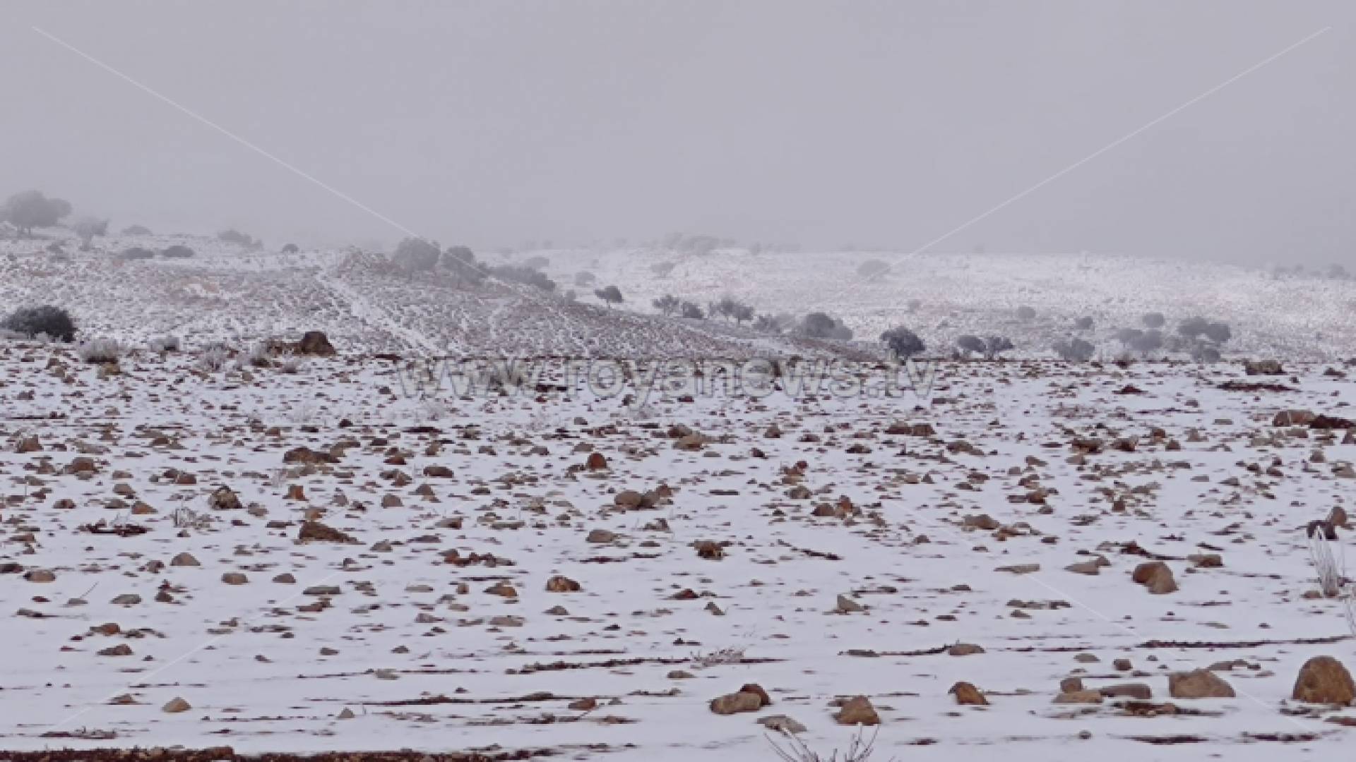 من الثلوج في الطفيلة - أرشيفية