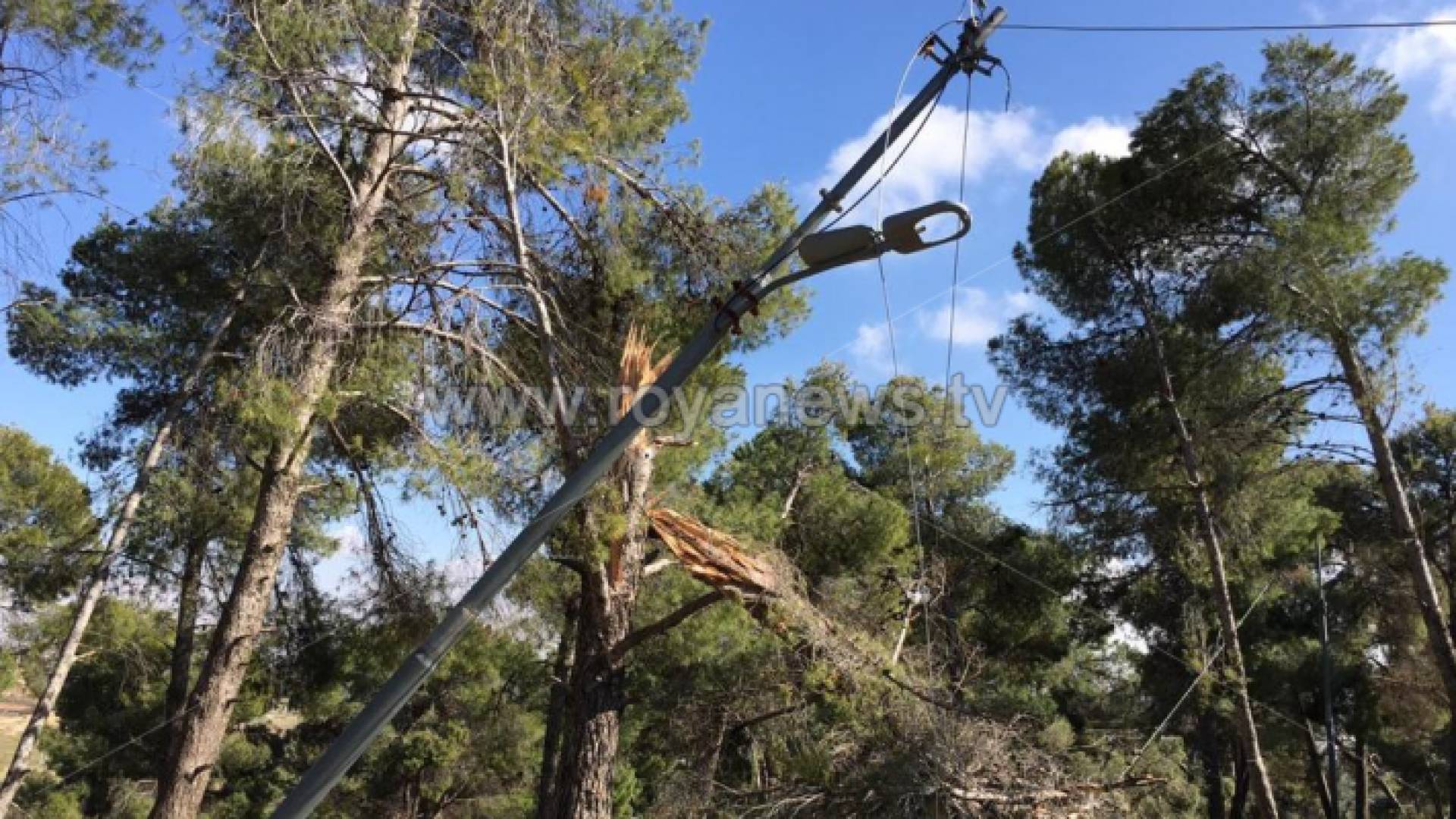 عمود سقط في متنزه عمان القومي