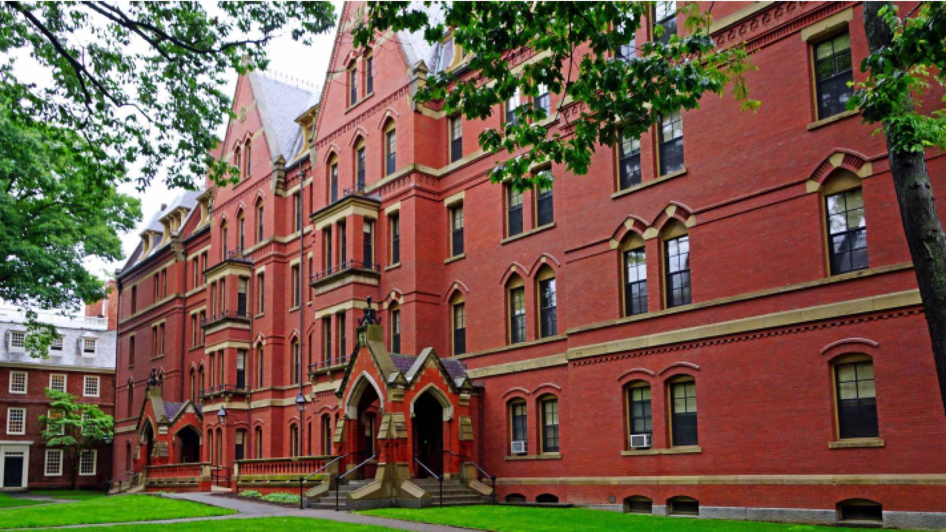 جامعة هارفرد