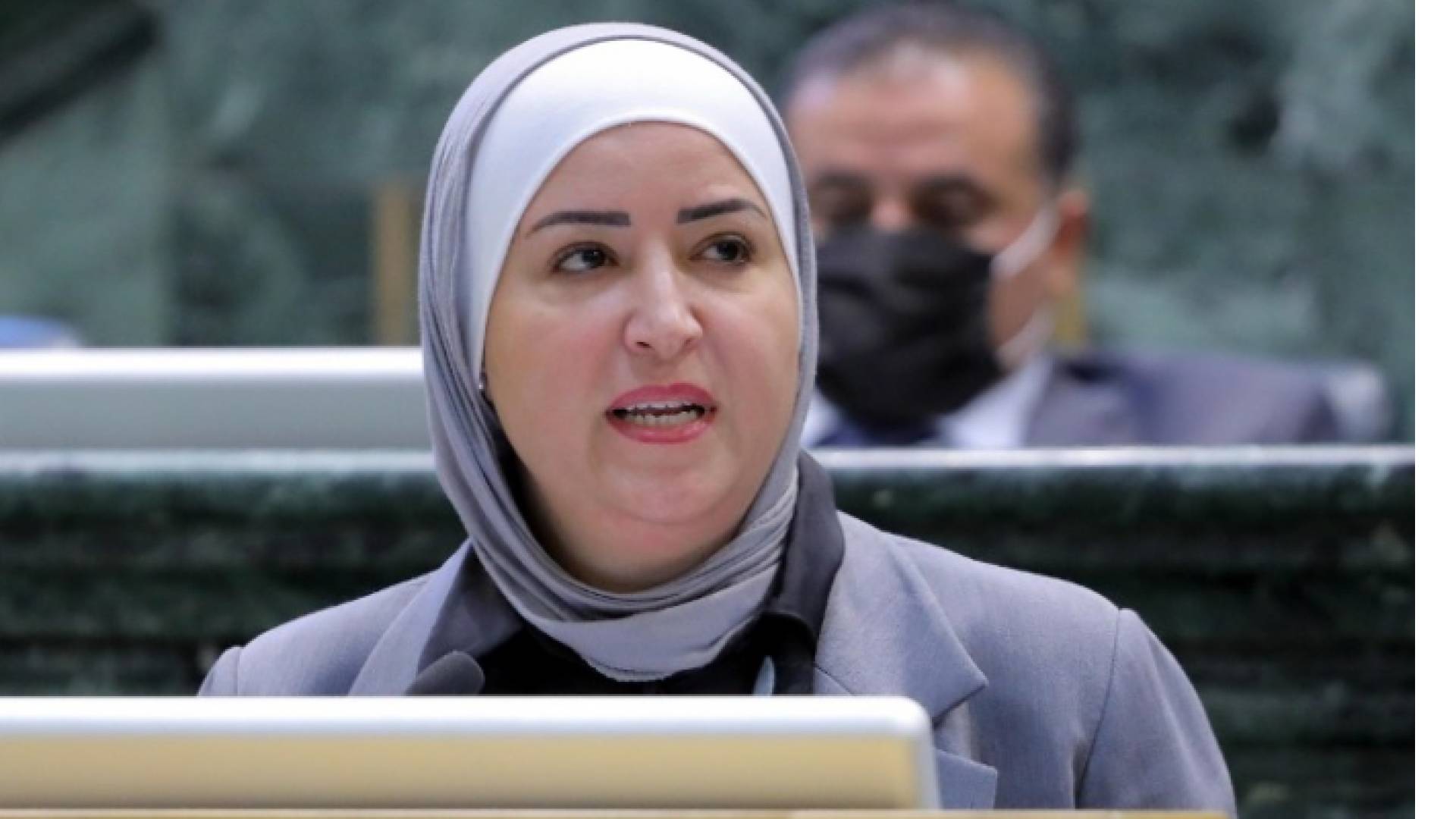 النائبة ميادة شريم