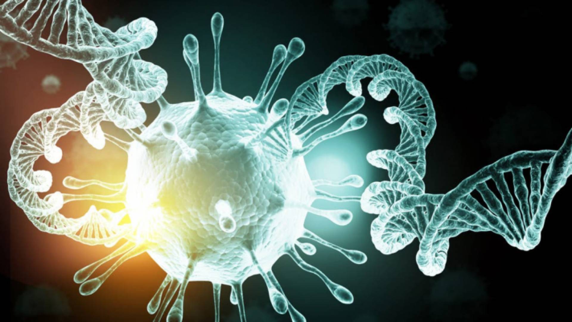 فيروس كورونا - تعبيرية