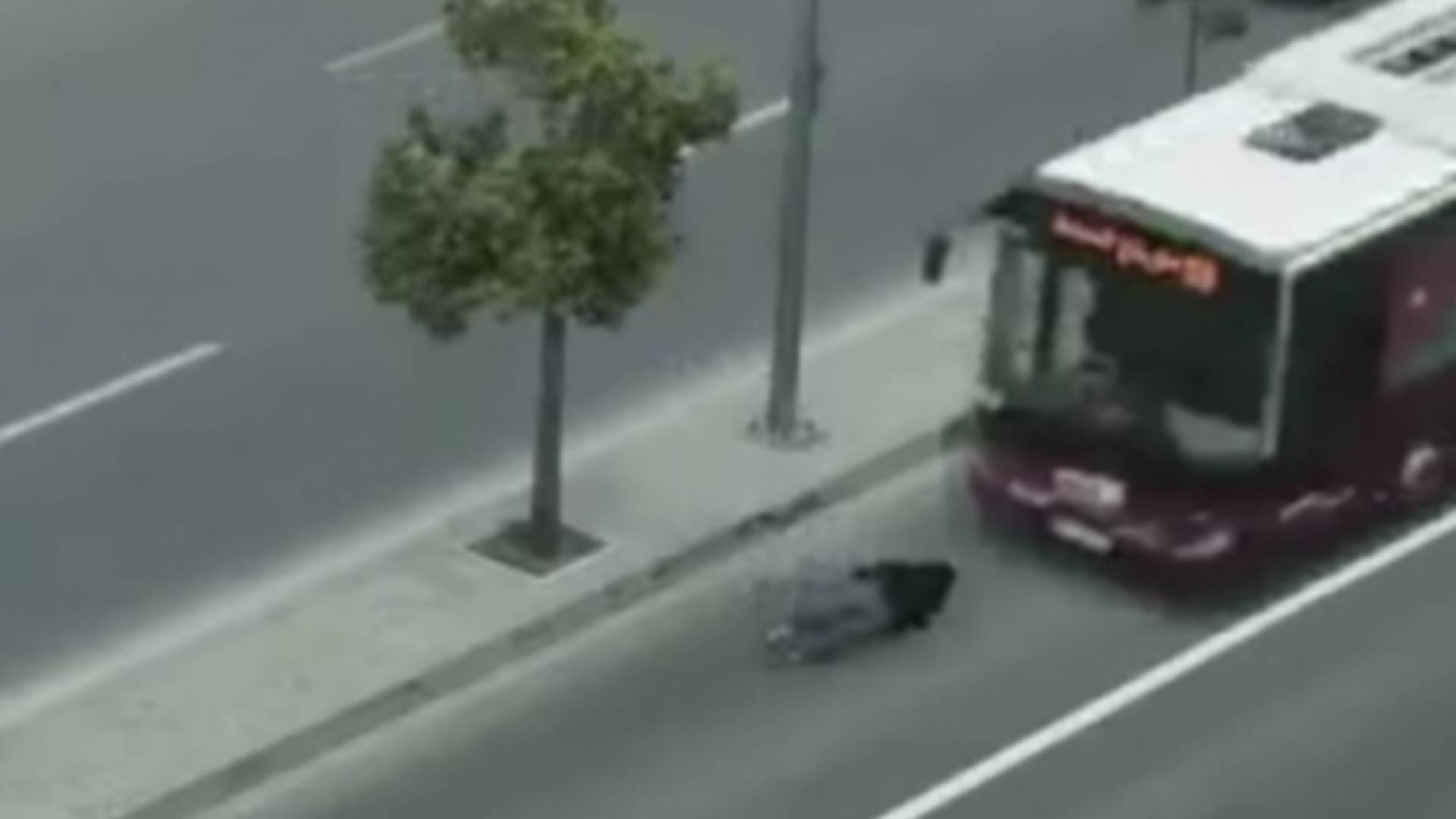 بين الحقيقة والخيال..قصة حافلة تمر فوق شاب على طريق الباص السريع