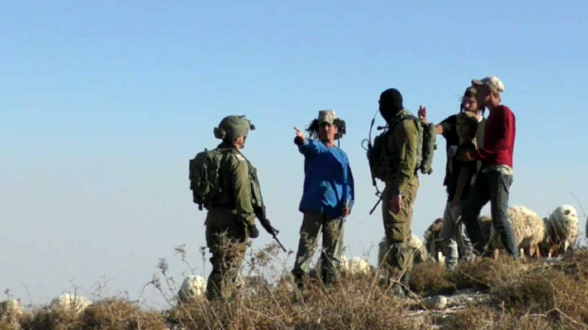 المستوطنون يصعدون من انتهاكاتهم بحق الفلسطينيين