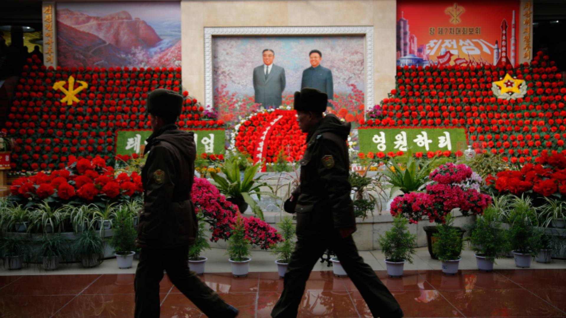 أزهار كيمجونجيليا